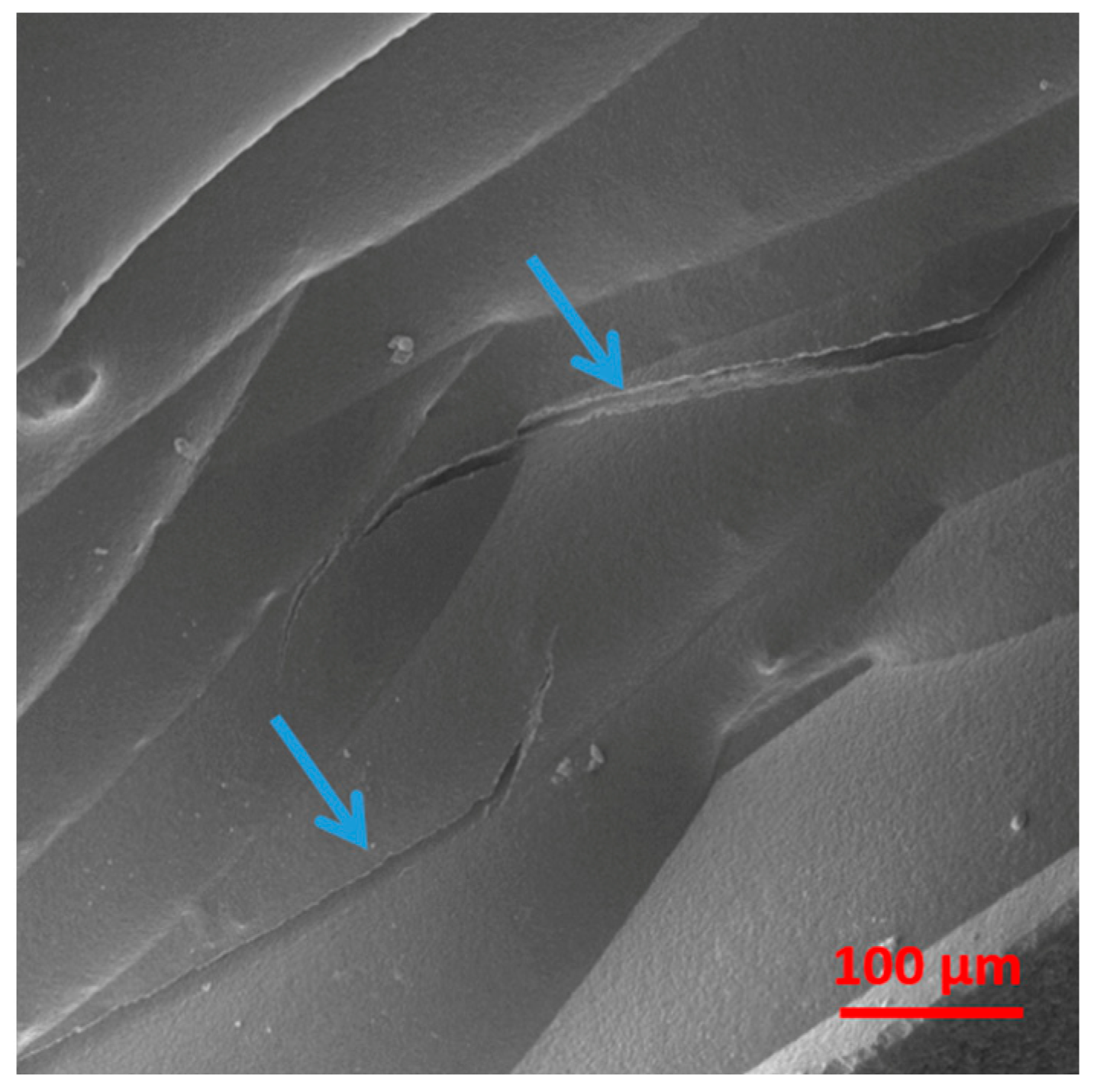 Materials 17 01888 g009 Materials 17 01888 g009