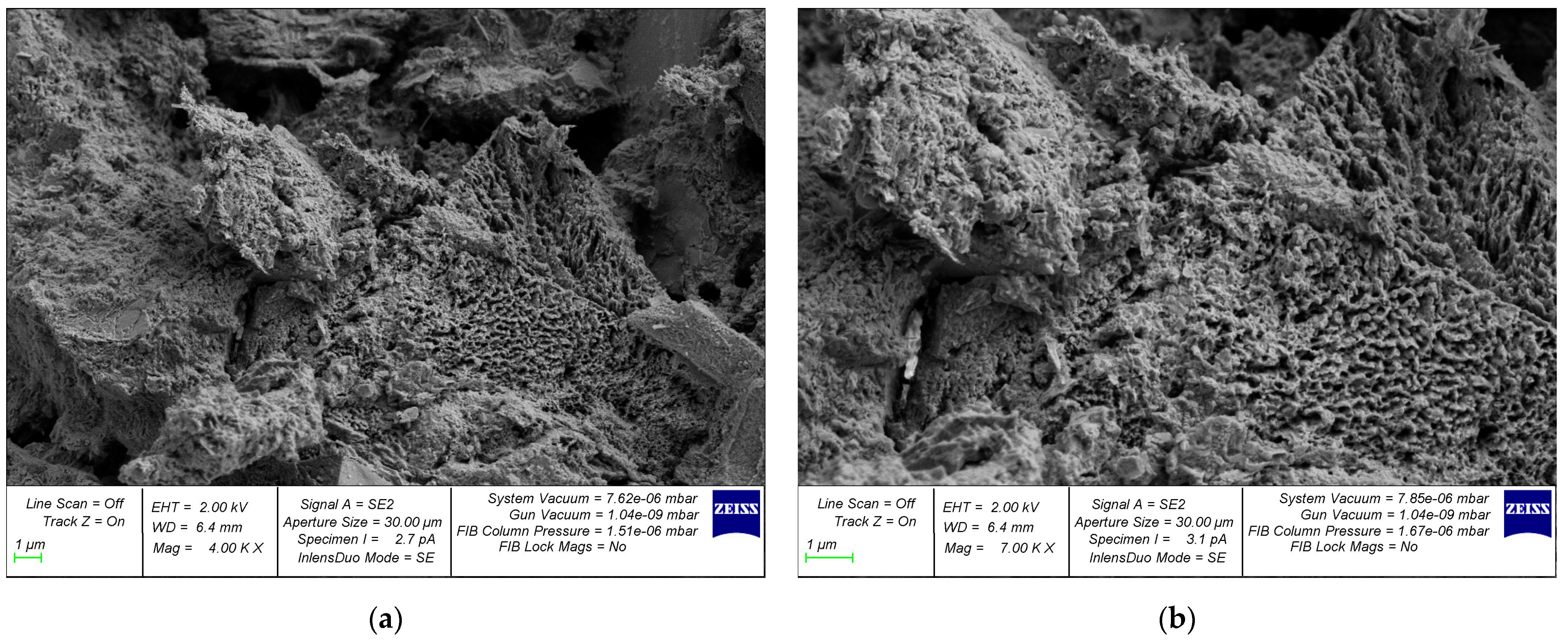 Materials 17 01889 g012