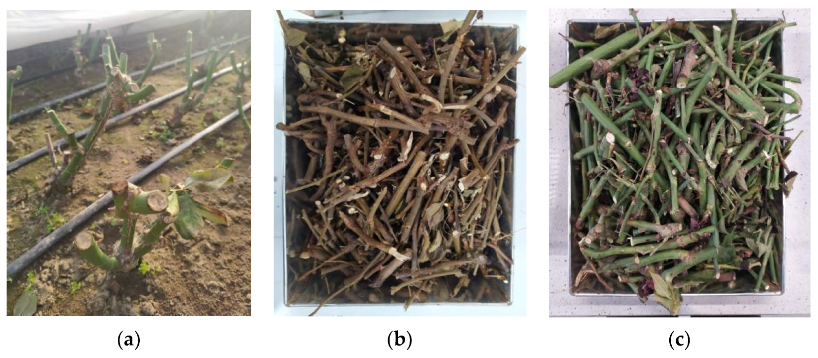 Materials 17 01895 g001