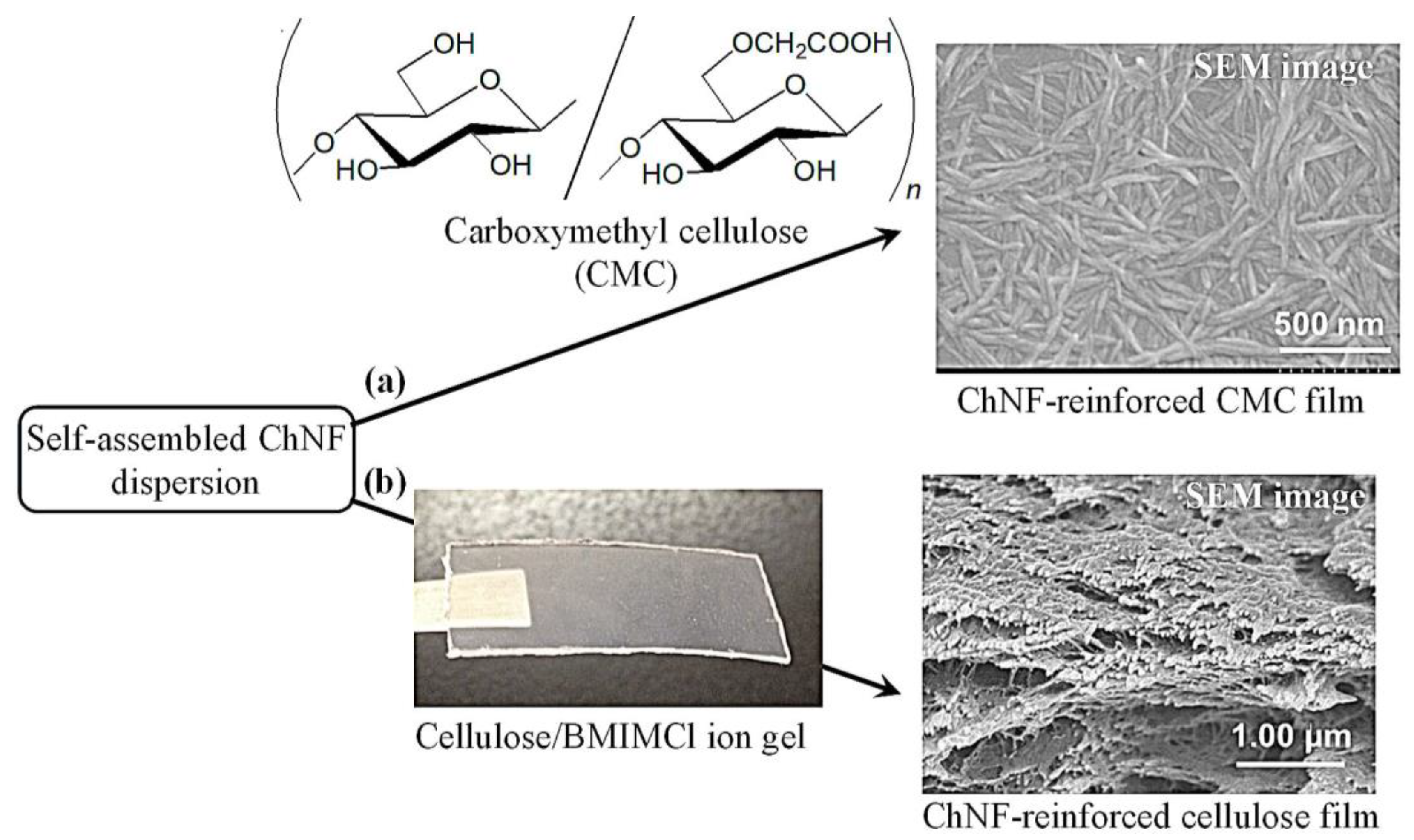 Materials 17 01898 g007