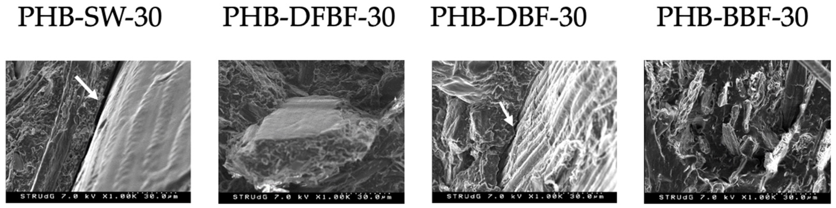 Materials 17 01901 g006