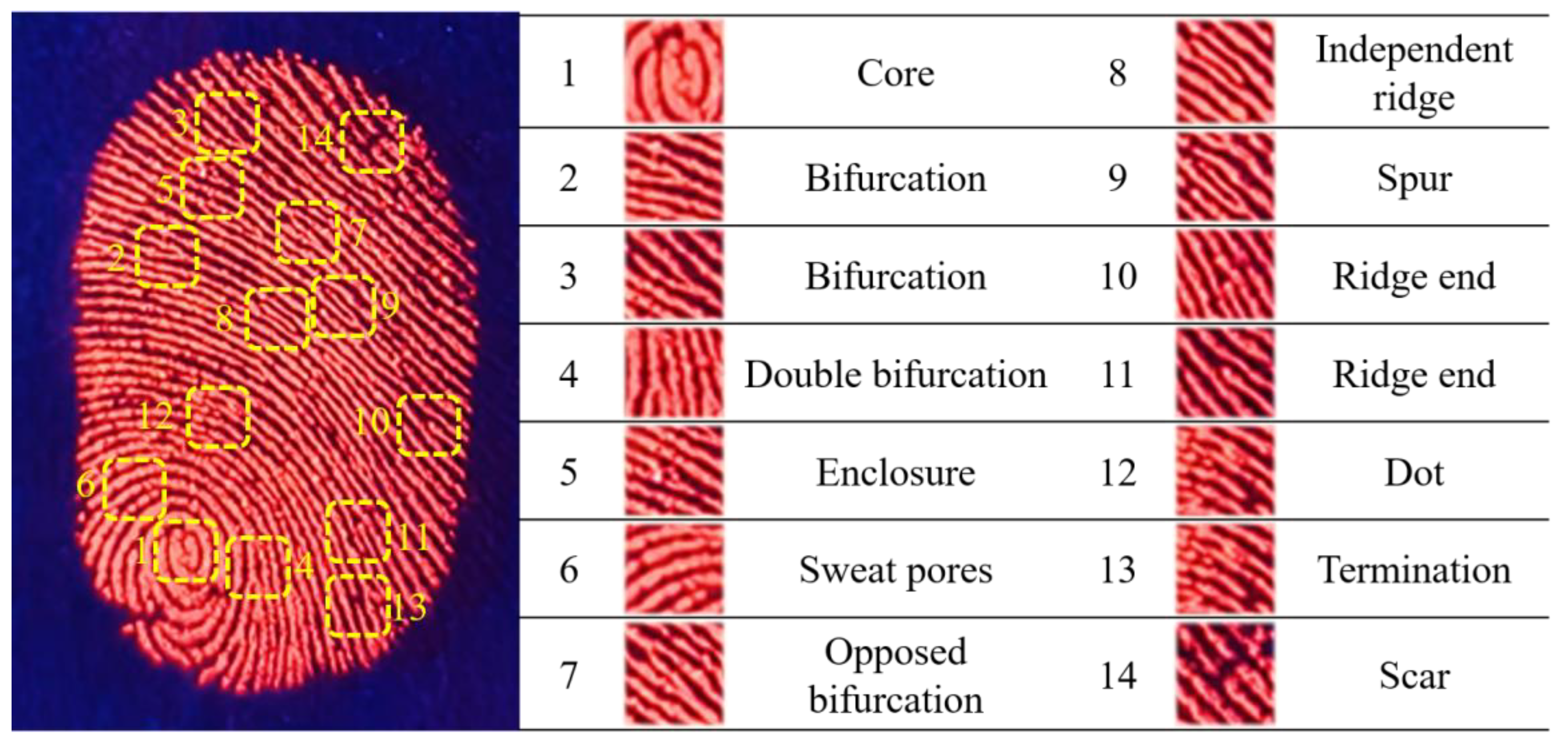Materials 17 01917 g010