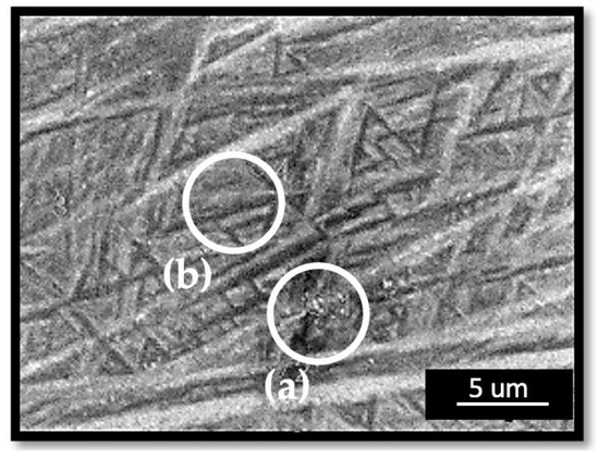 In Situ Microstructure Modification Using a Layerwise In Situ Microstructure Modification Using a Layerwise