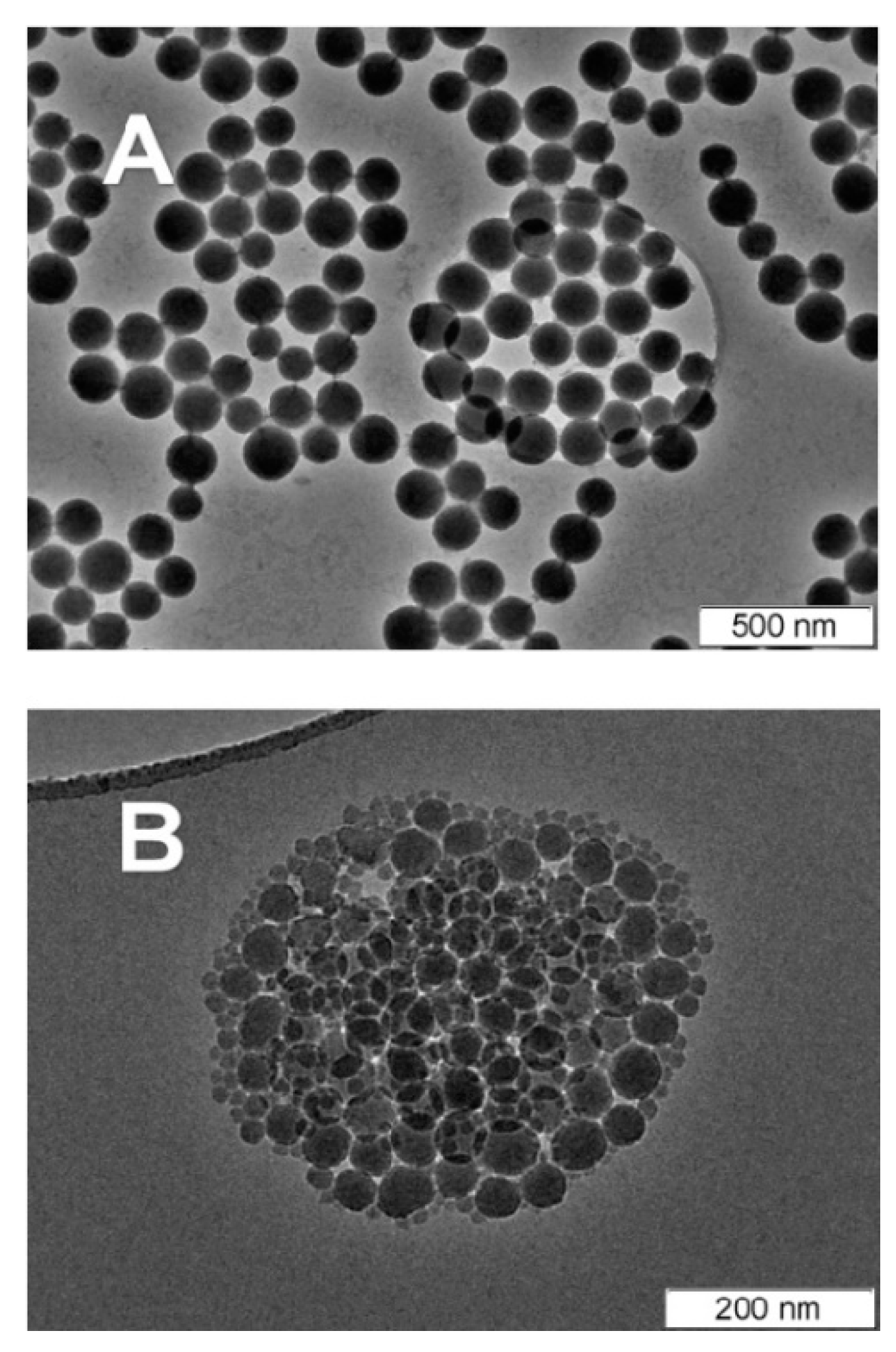 Materials 17 01937 g006