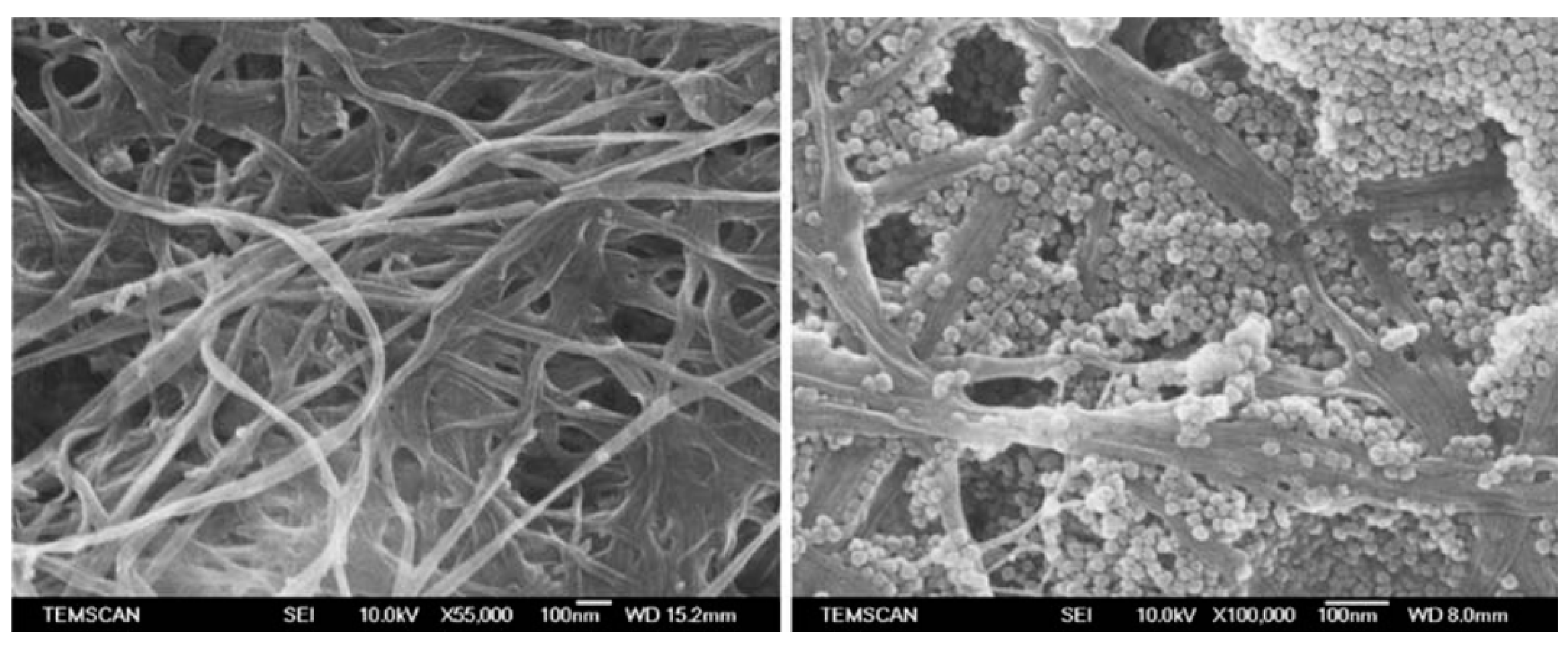 Materials 17 01937 g008