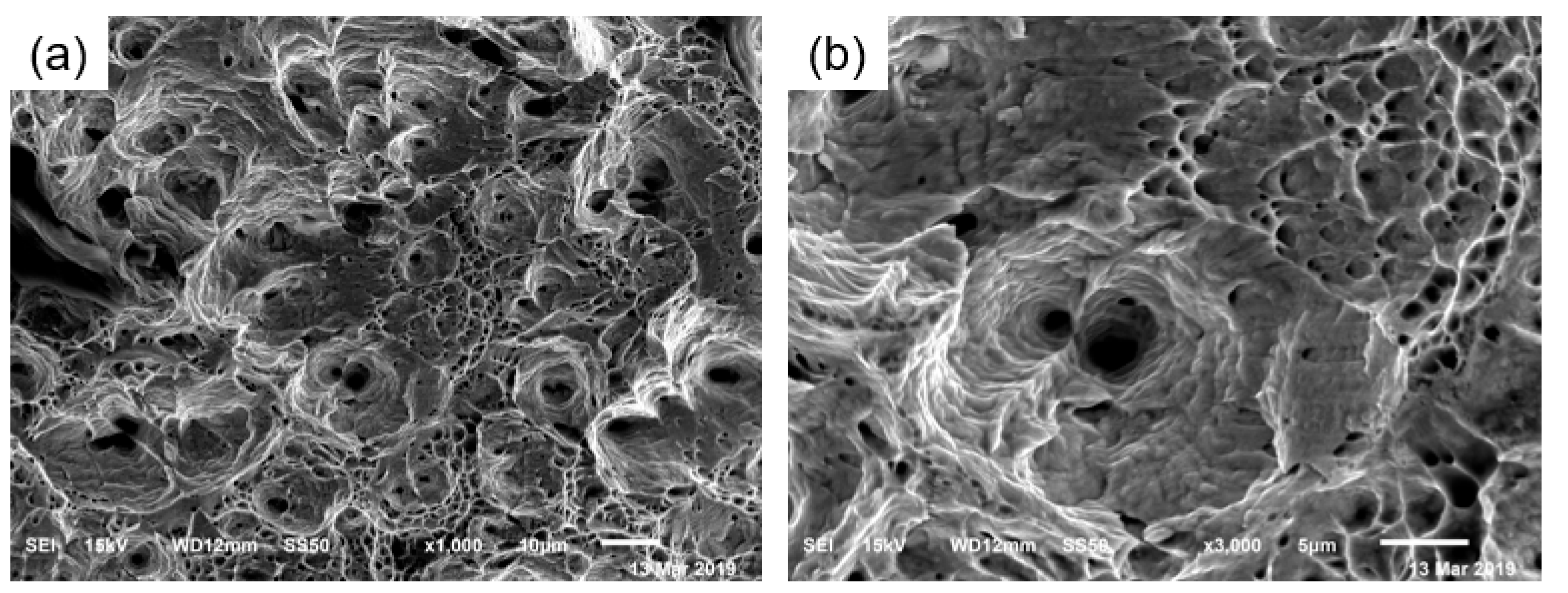 Materials 17 01955 g005