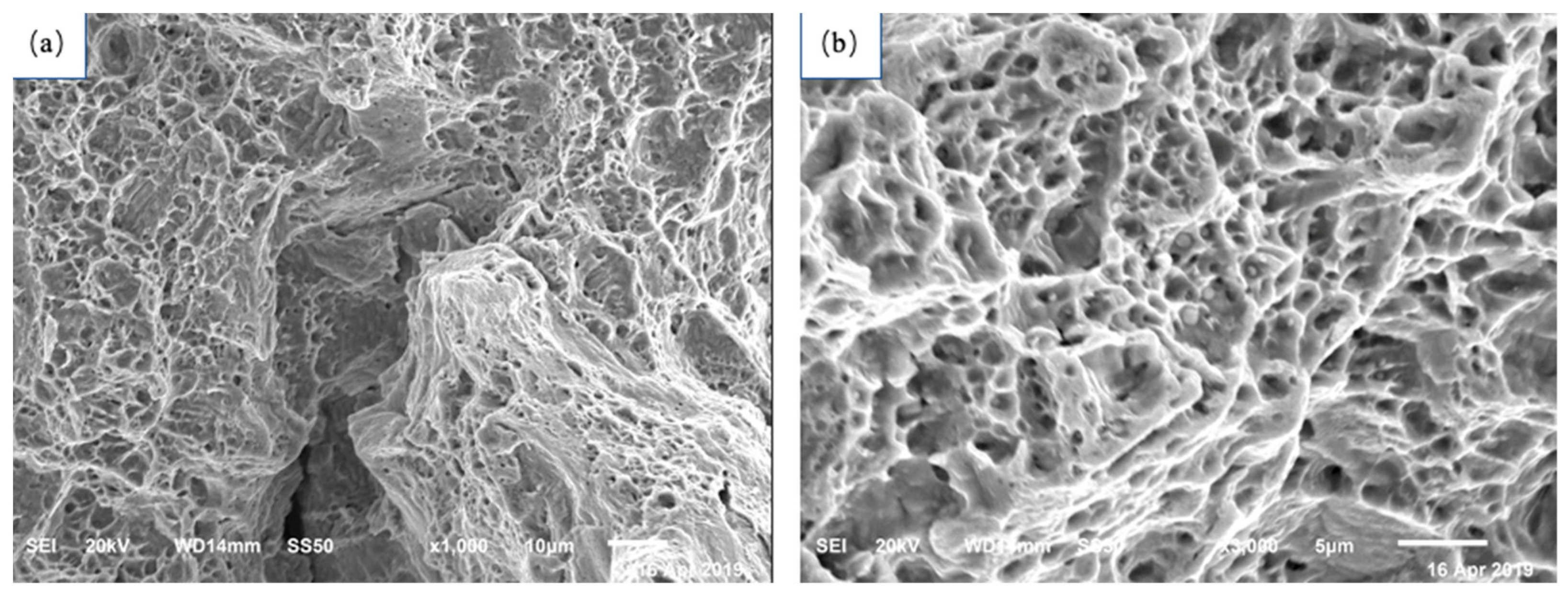 Materials 17 01955 g006