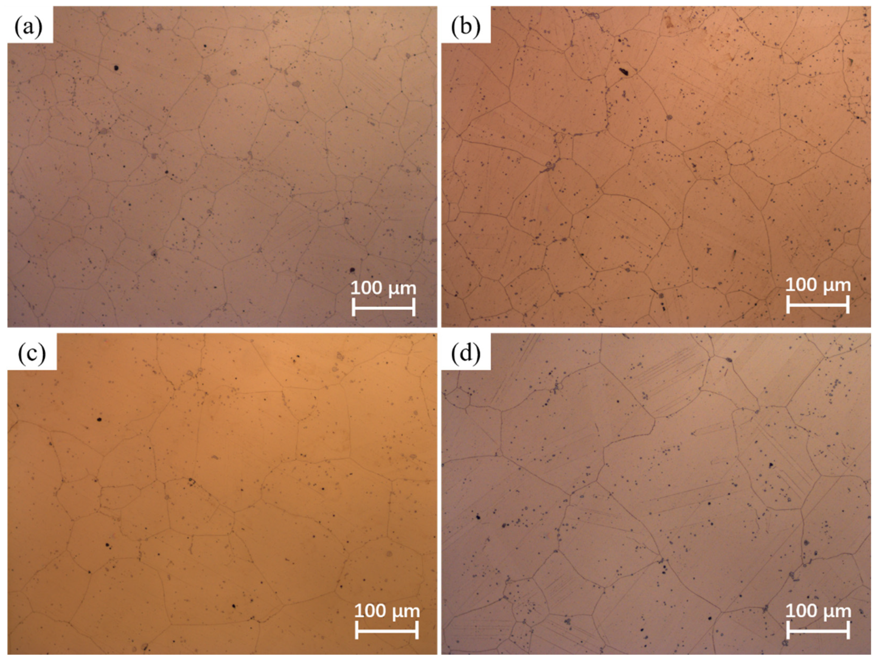 Materials 17 01965 g006 Materials 17 01965 g006