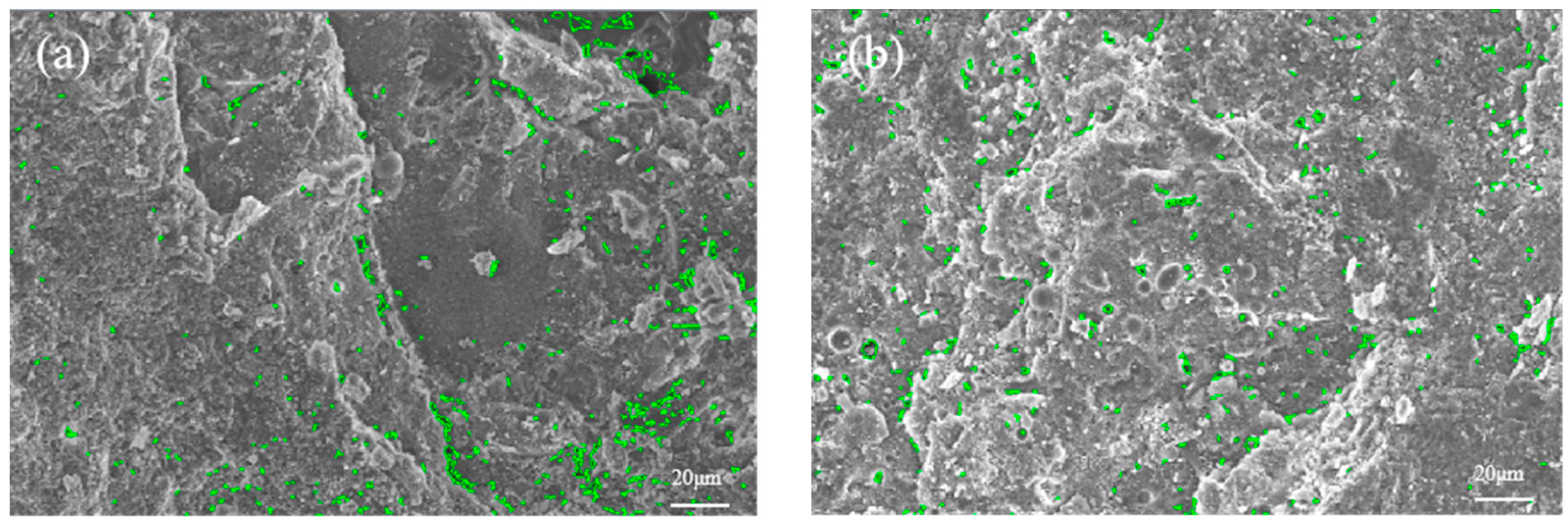 Materials 17 01971 g011a