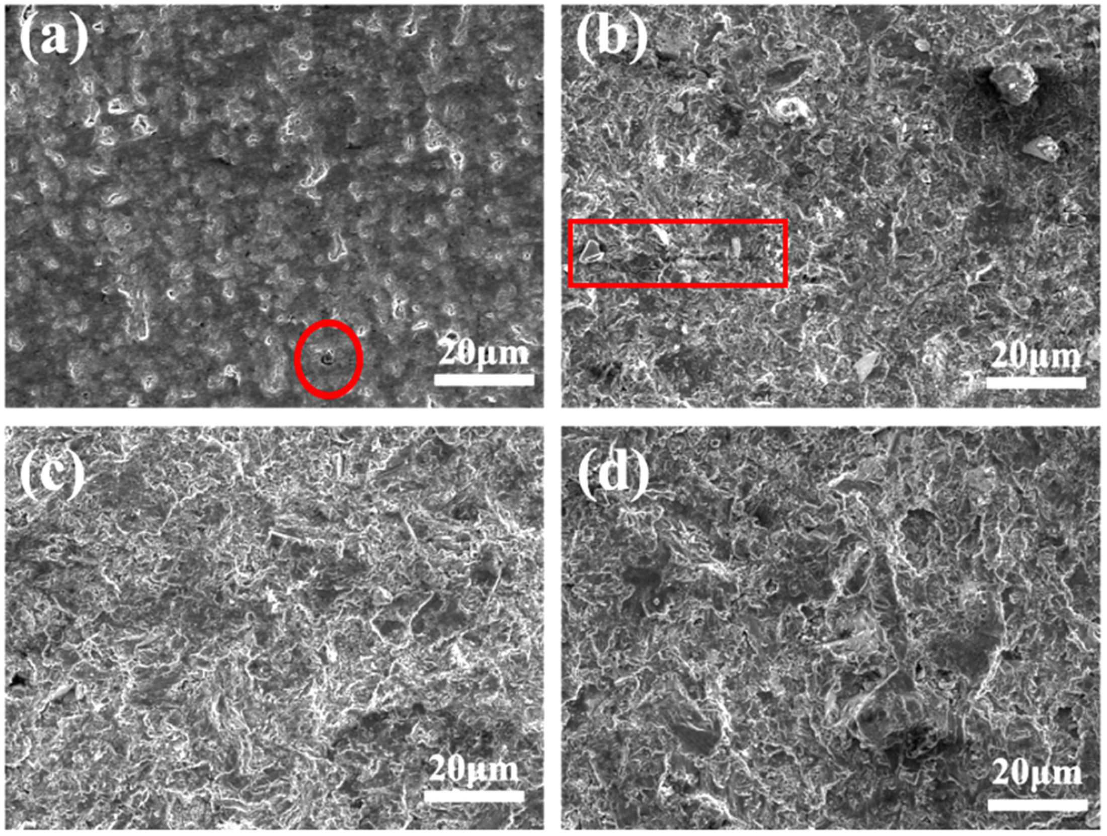 Materials 17 01992 g008