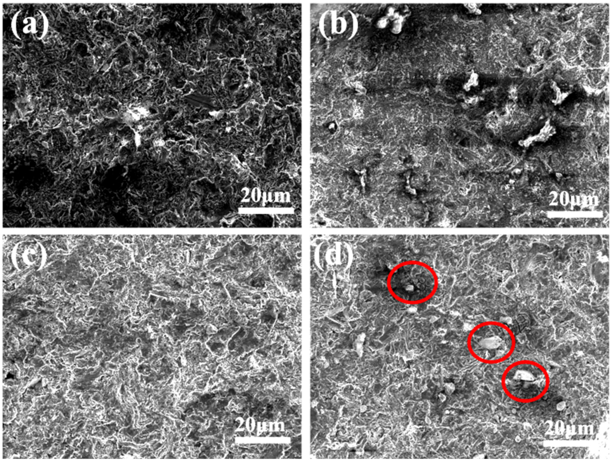 Materials 17 01992 g011