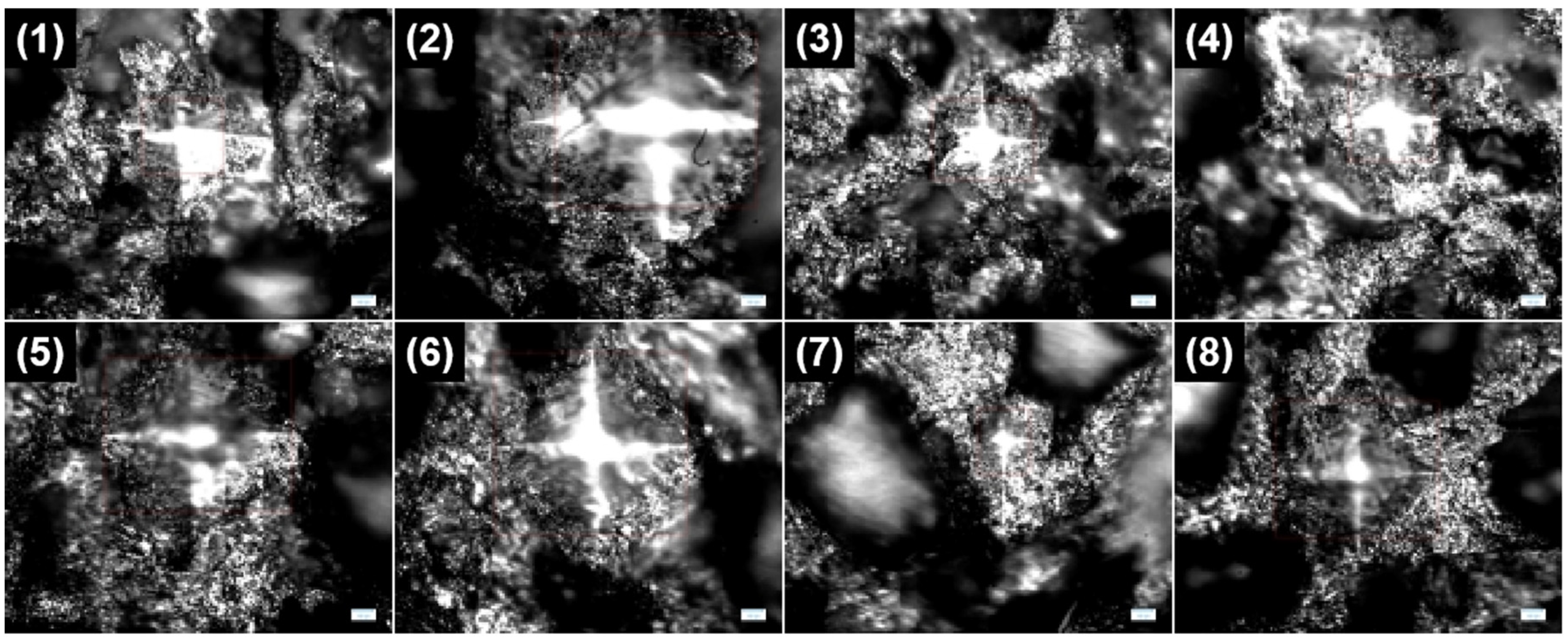 Materials 17 01992 g015