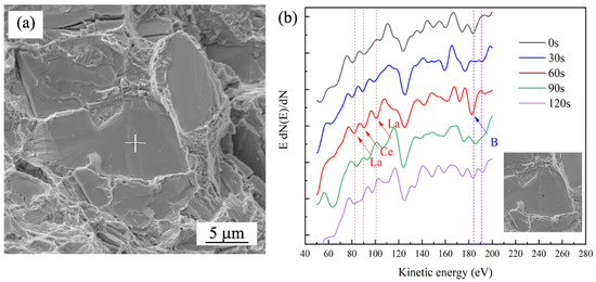 Synergistic Effects of Boron and Rare Earth Elements on the ...