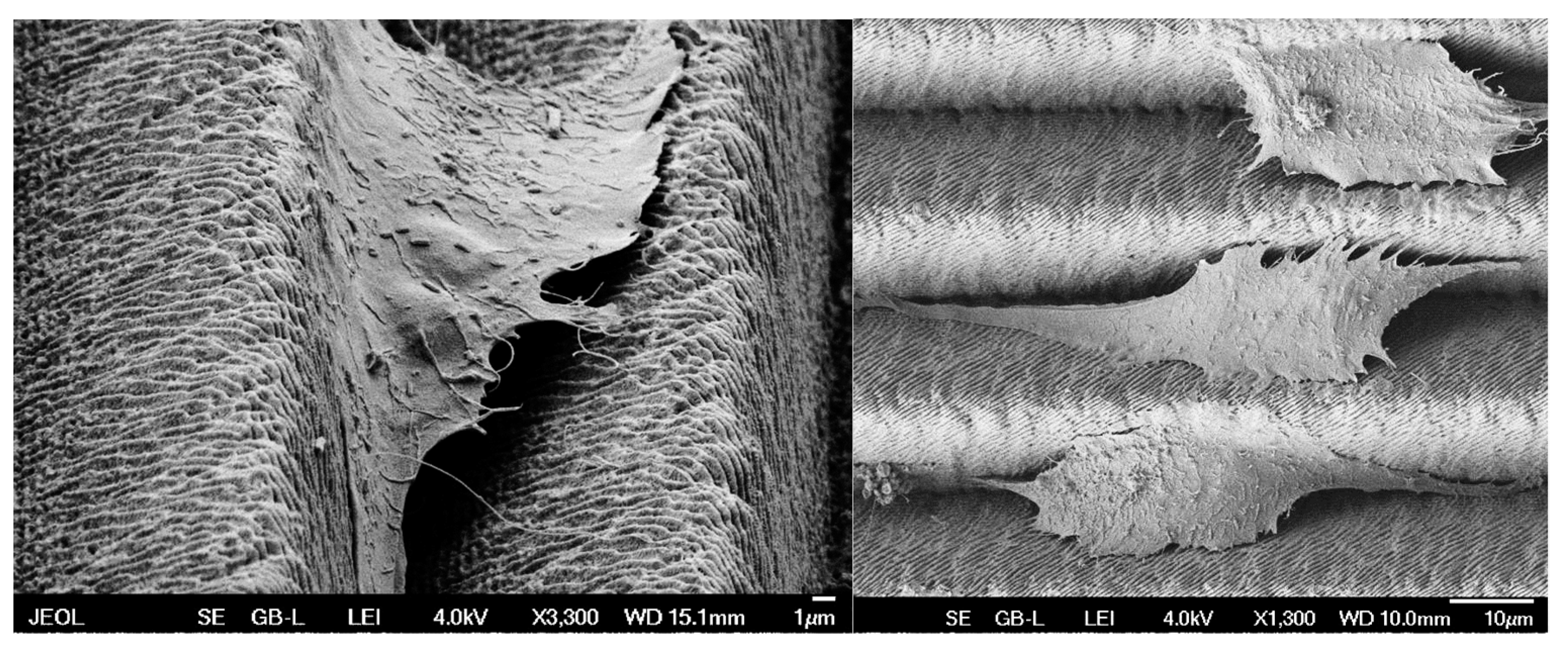 Materials 17 02008 g011