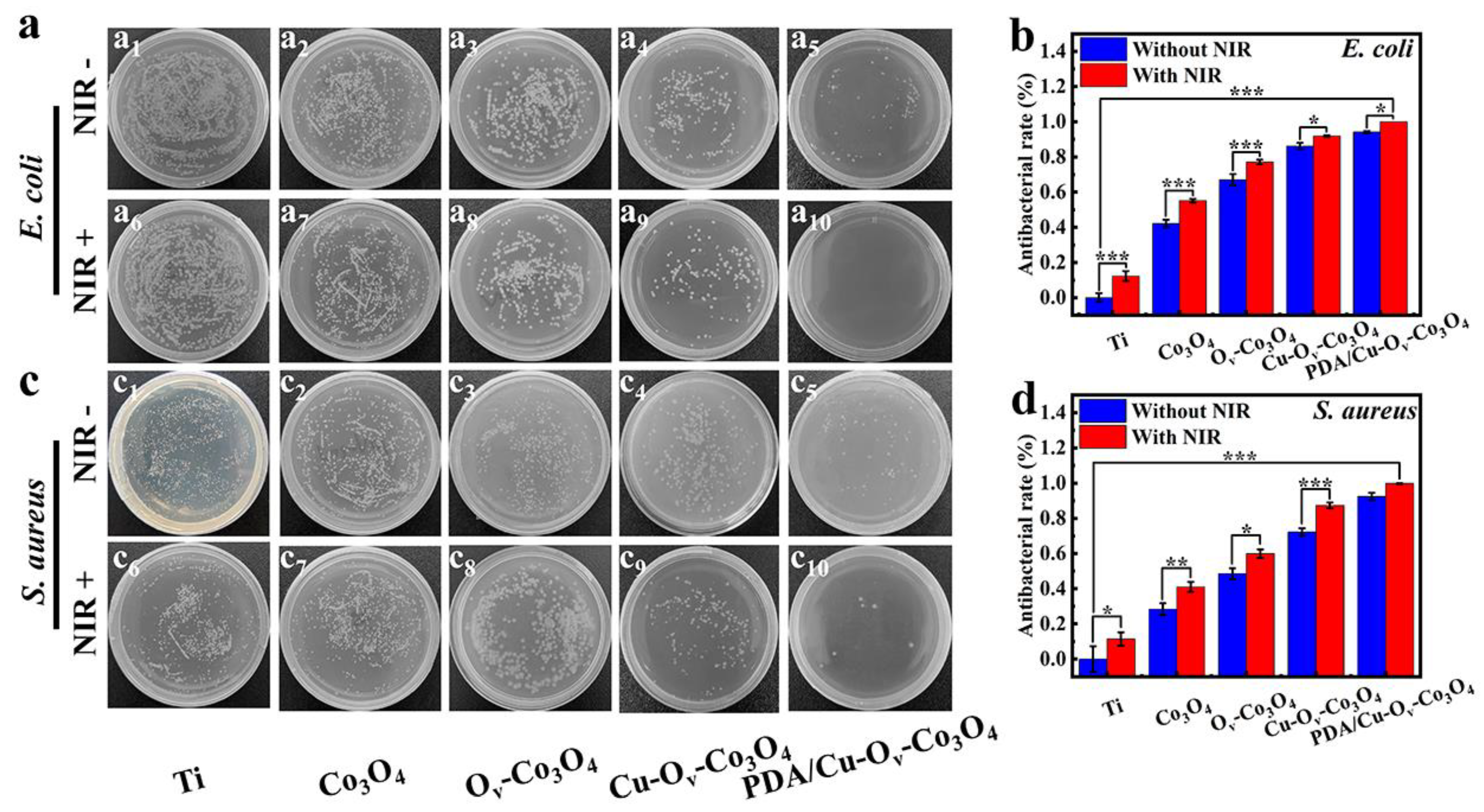 Materials 17 02019 g005