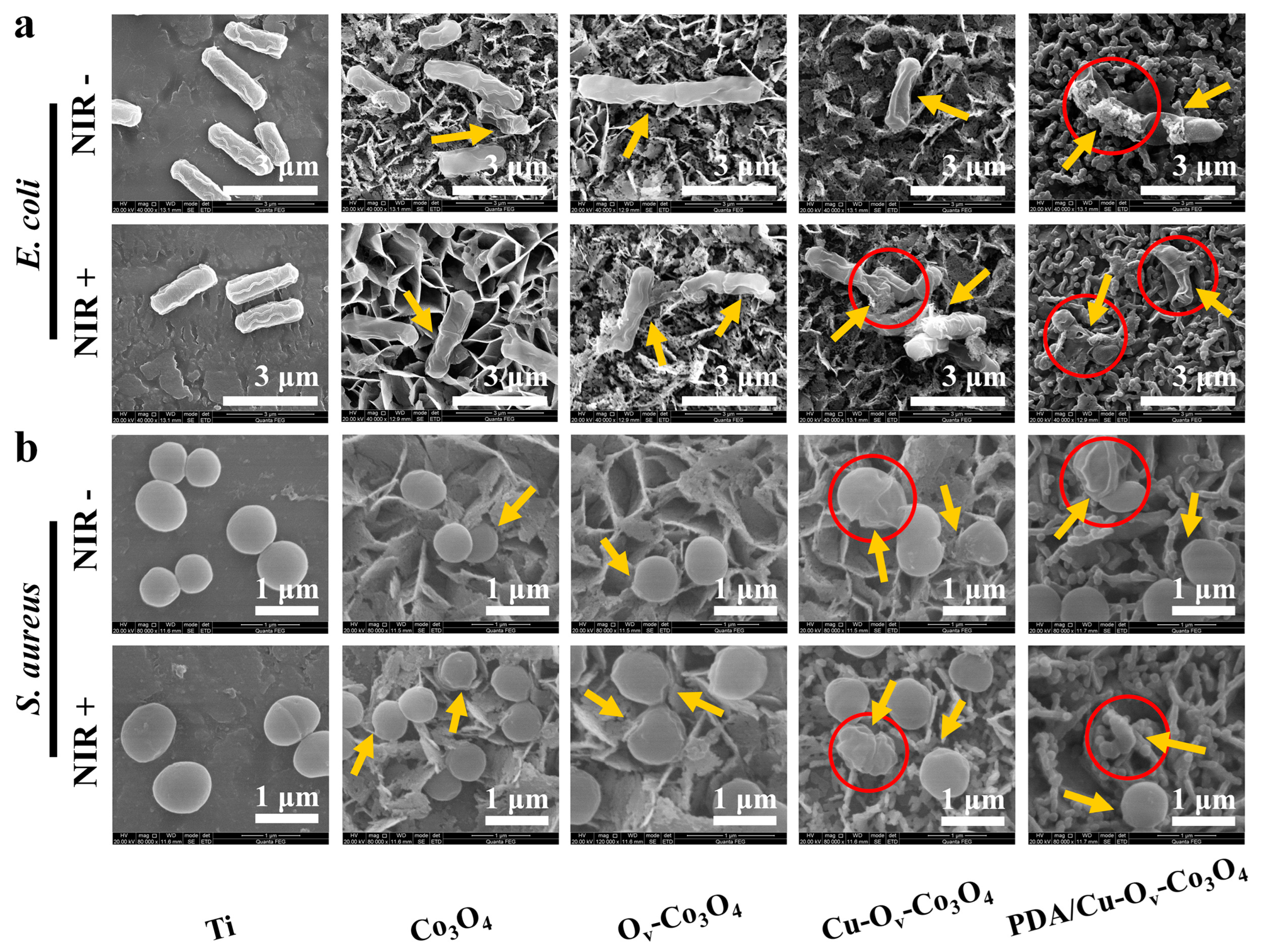 Materials 17 02019 g006