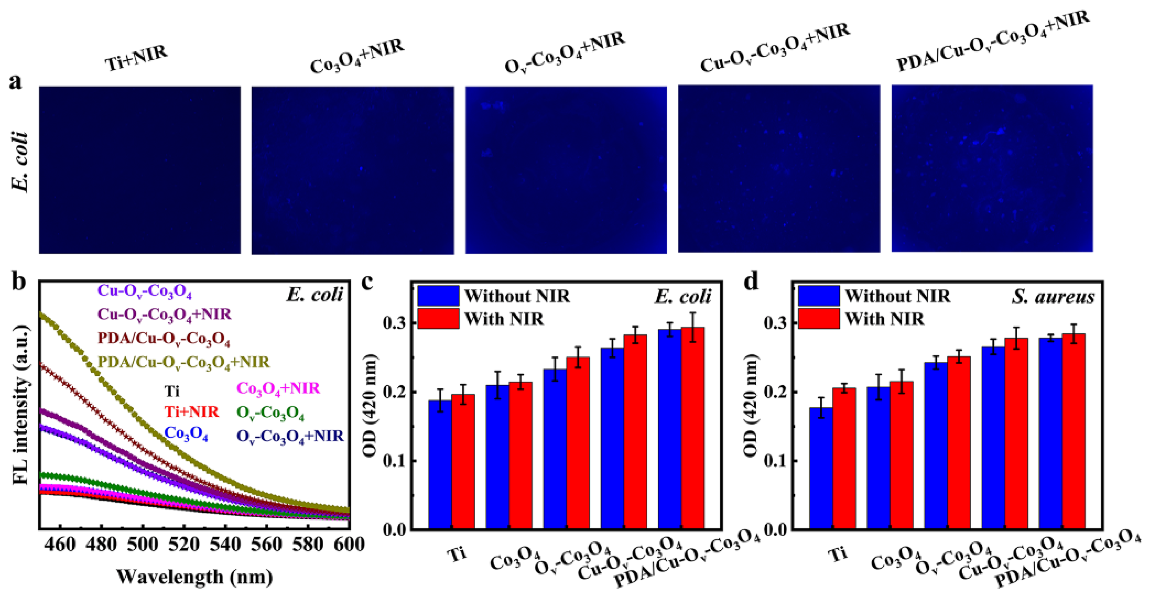 Materials 17 02019 g007