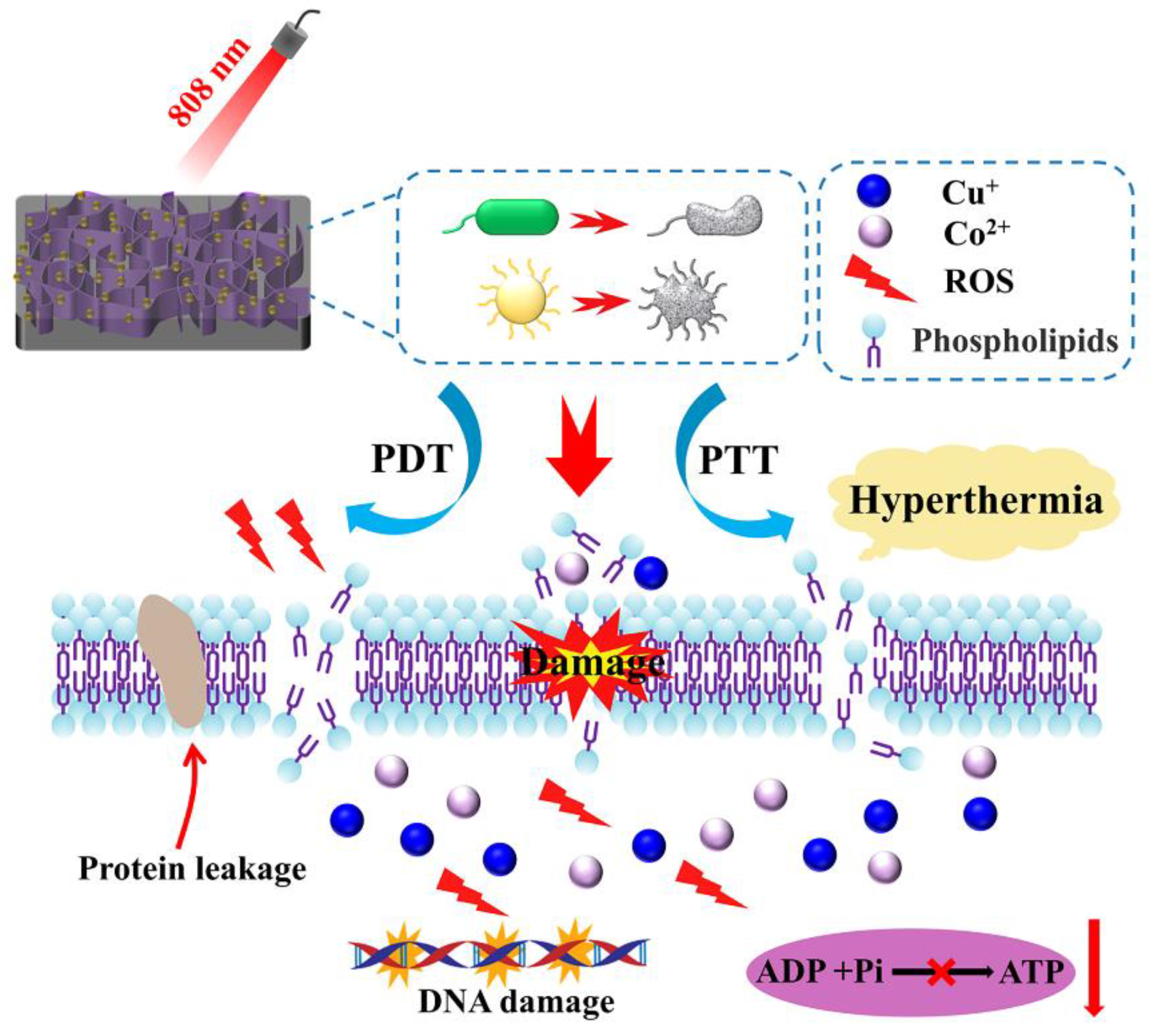 Materials 17 02019 g012