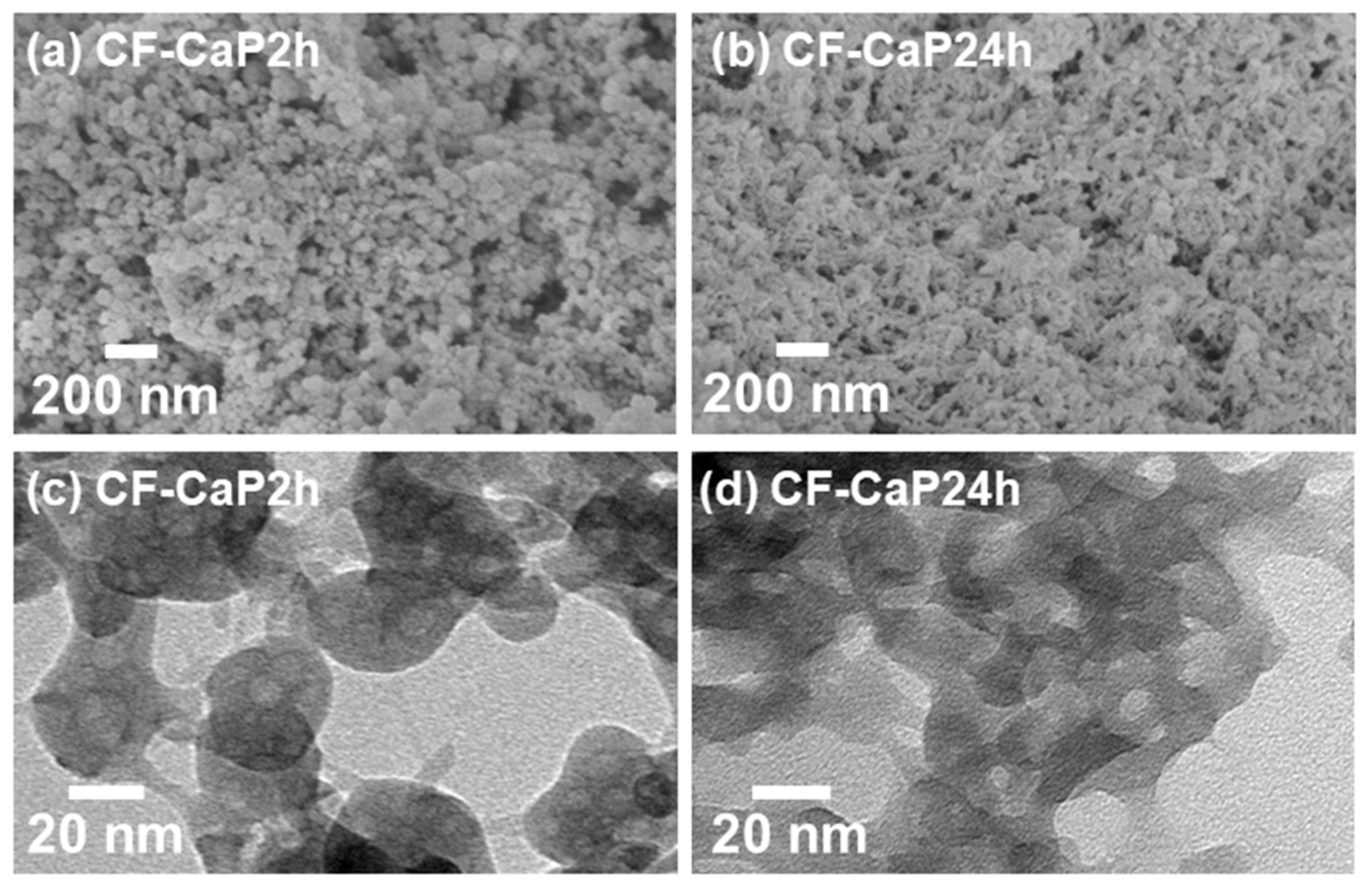 Materials 17 02035 g003