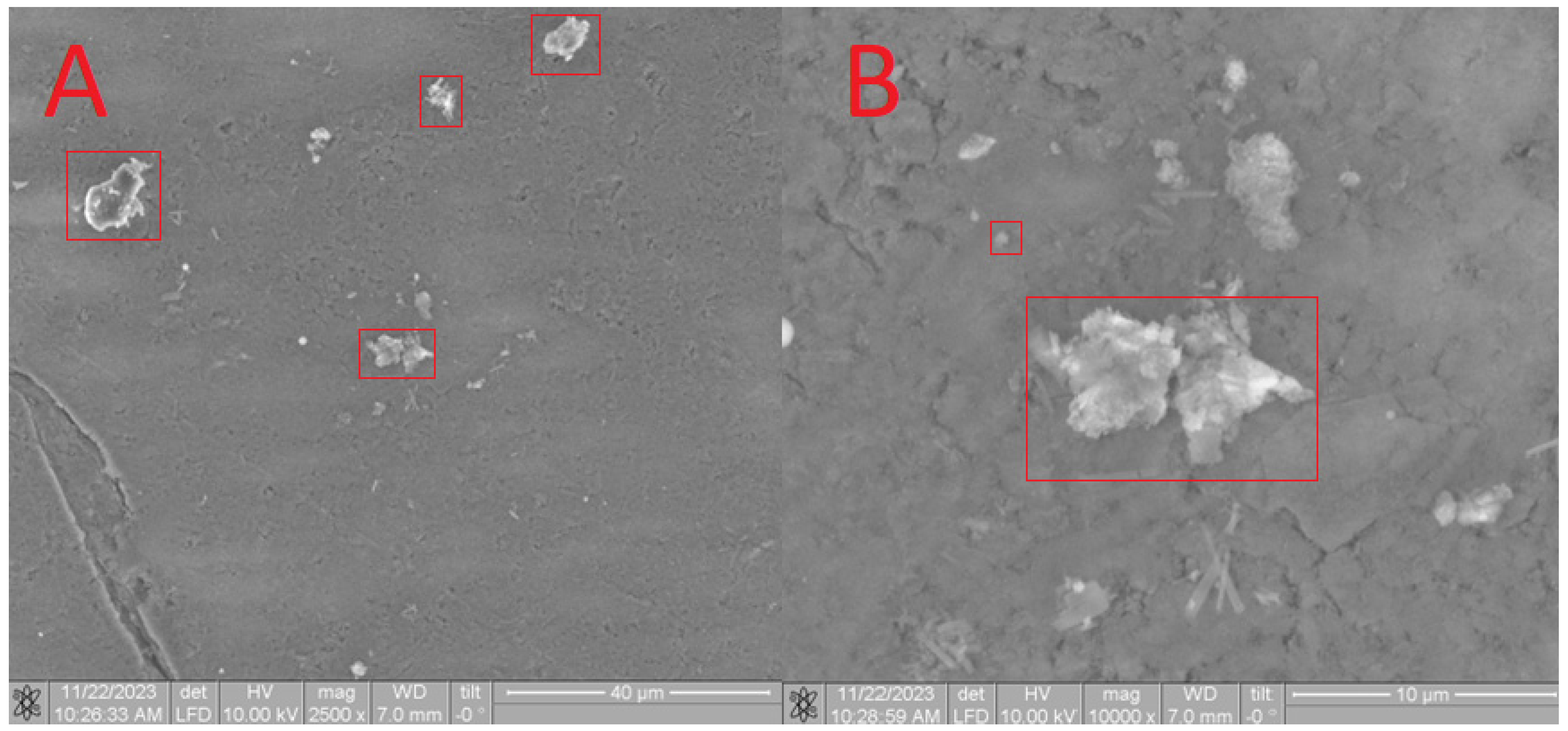 Materials 17 02041 g011