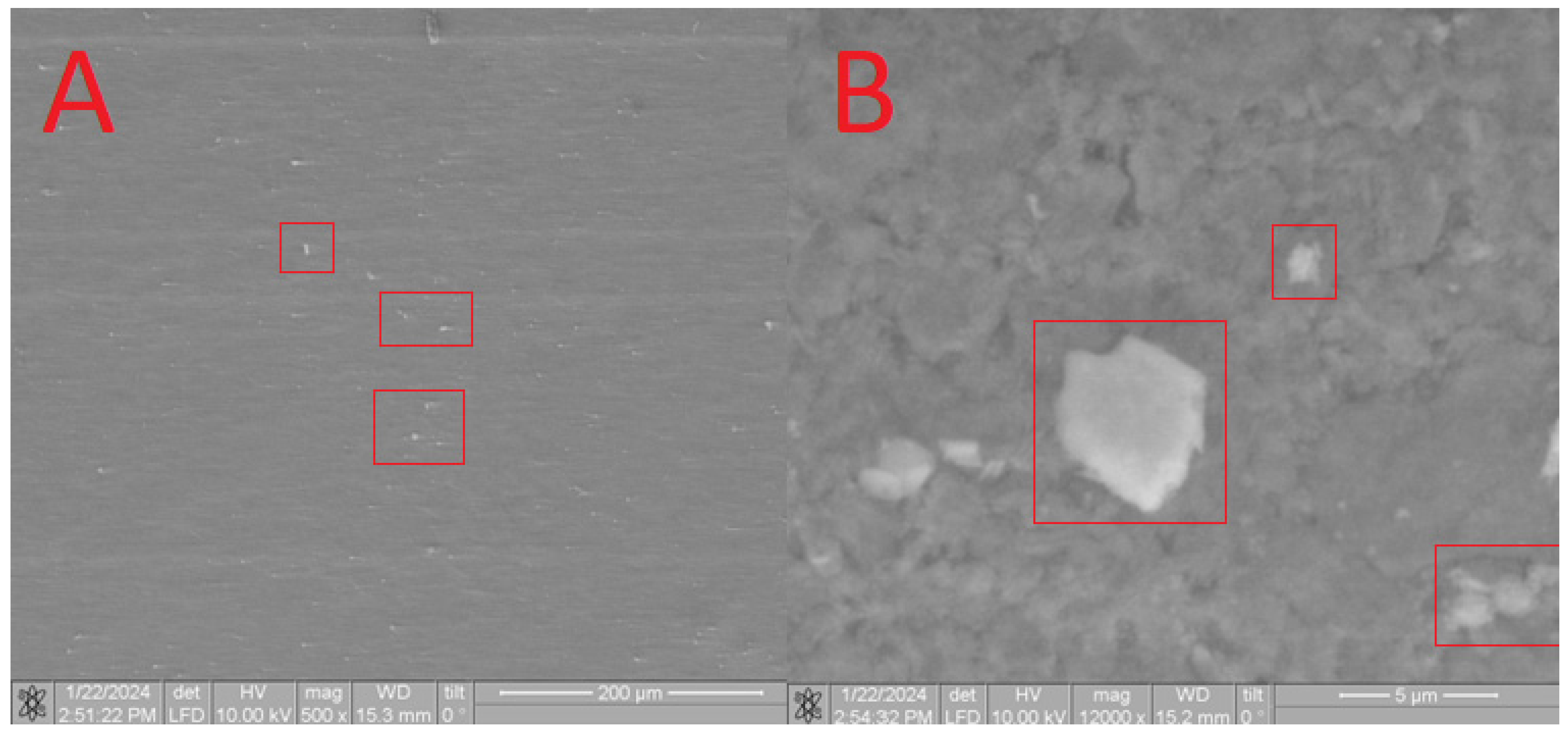 Materials 17 02041 g013