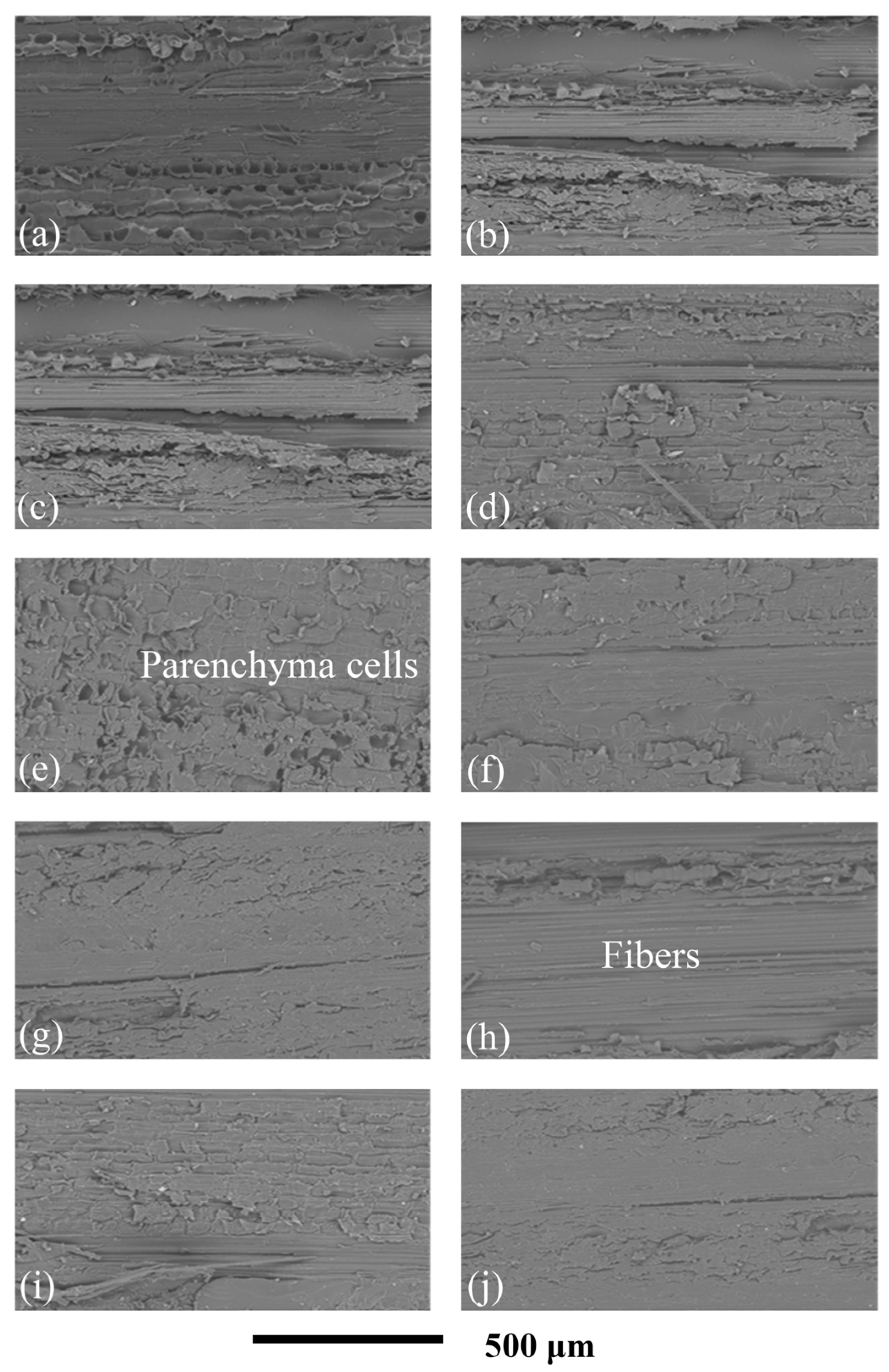 Materials 17 02042 g010