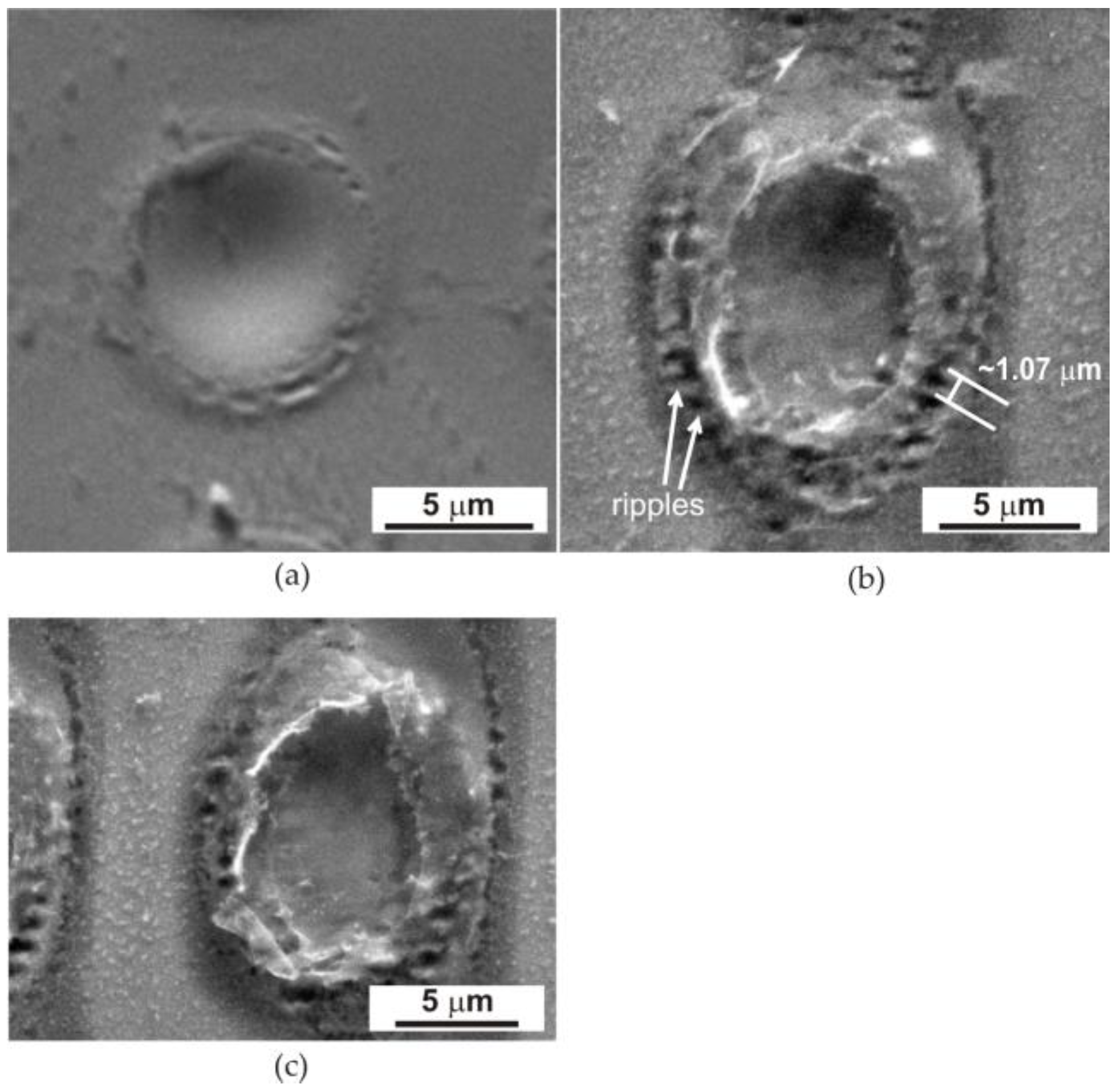 Materials 17 02060 g004