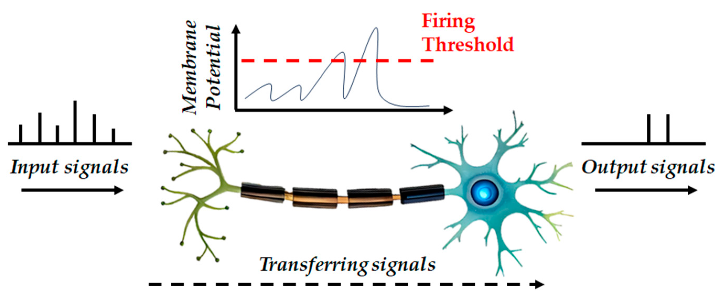 Materials 17 02108 g004