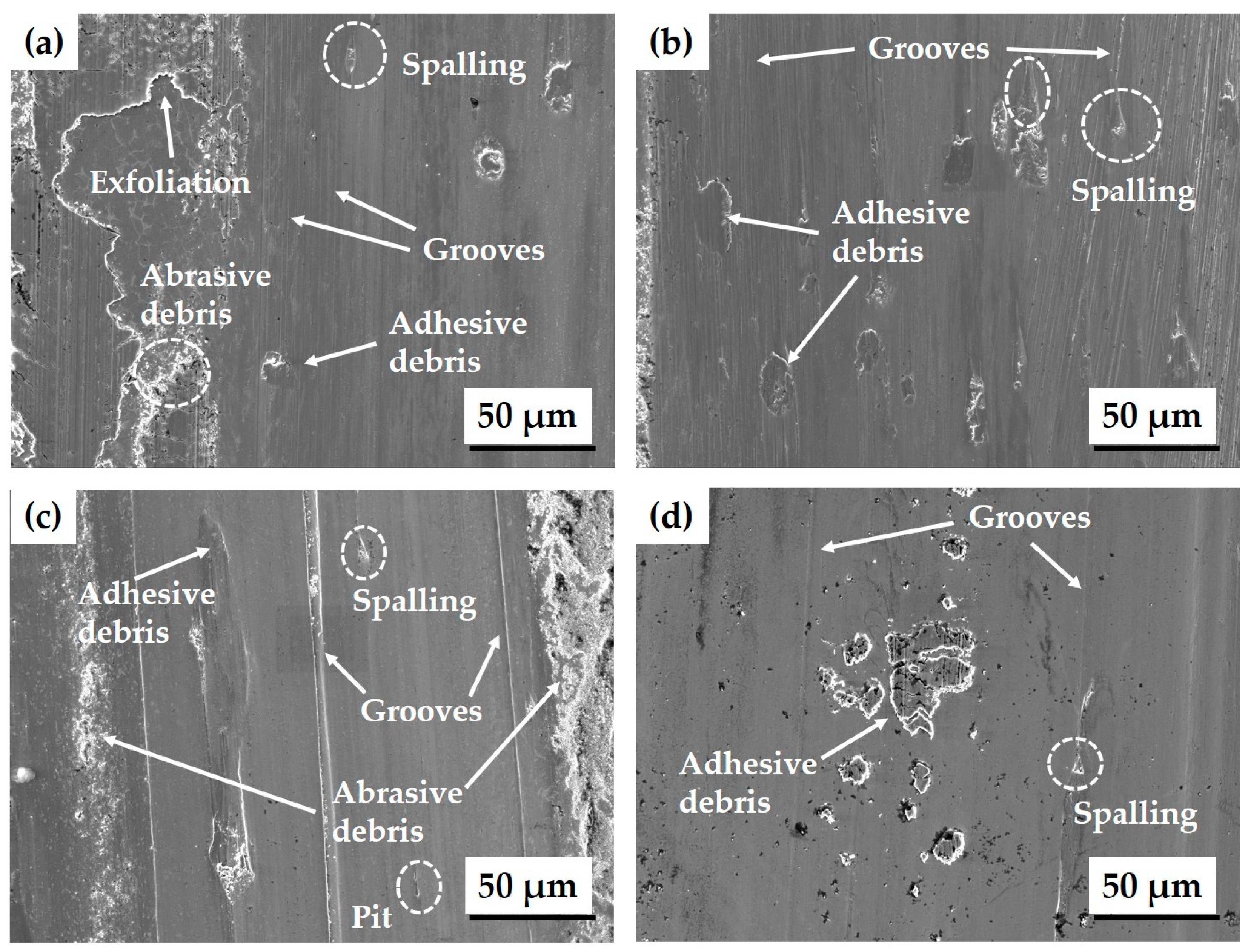 Materials 17 02116 g019