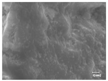 Materials 17 02120 i002