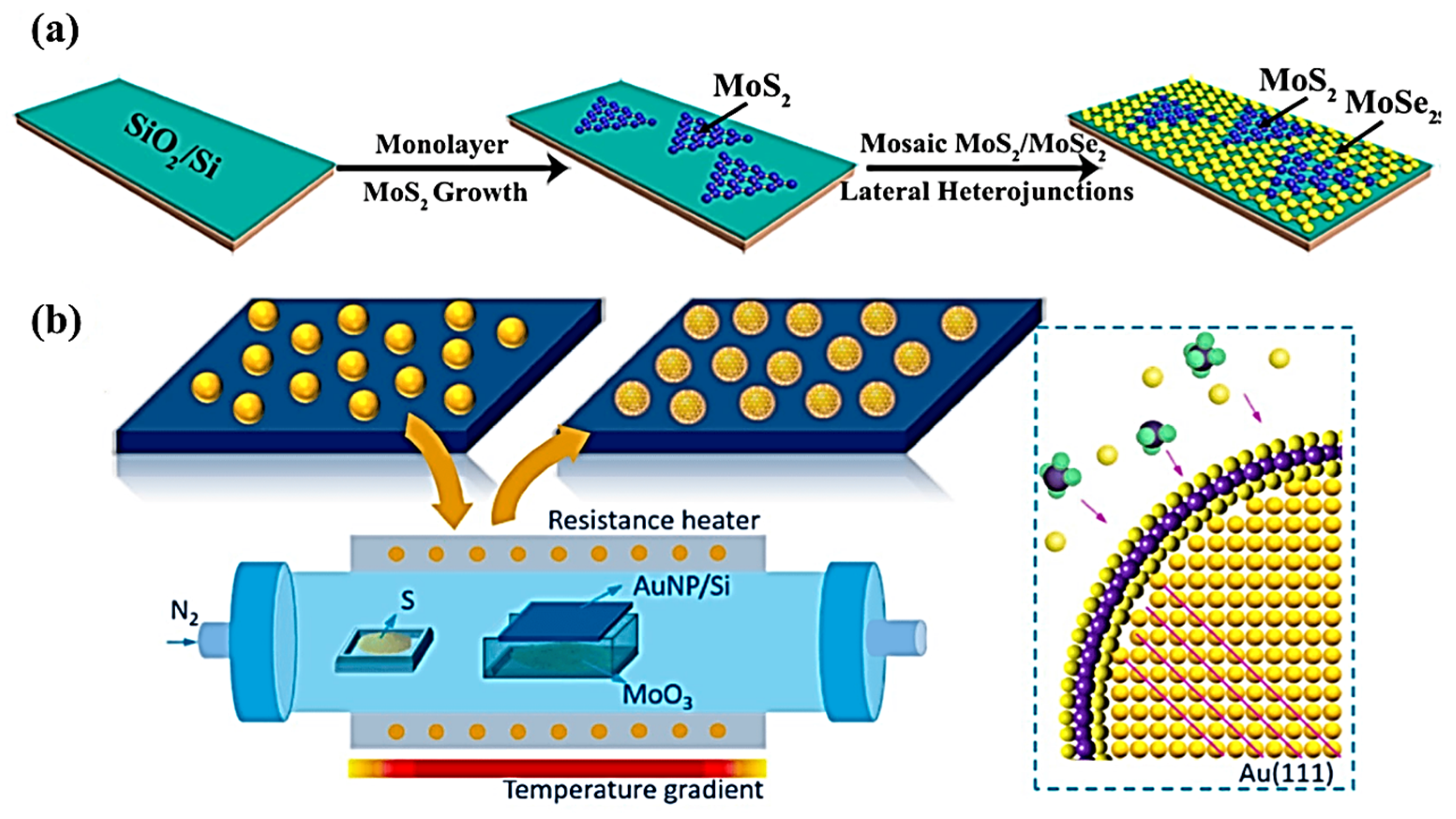 Materials 17 02124 g005
