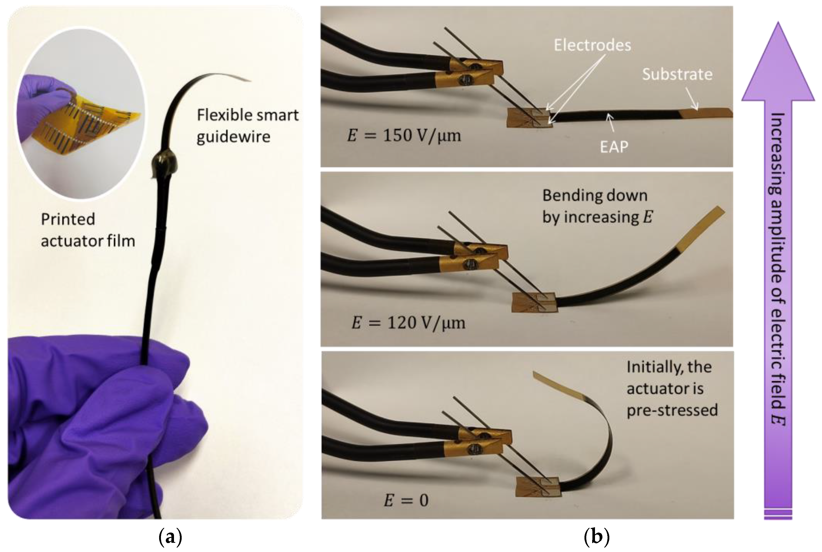 Materials 17 02135 g006