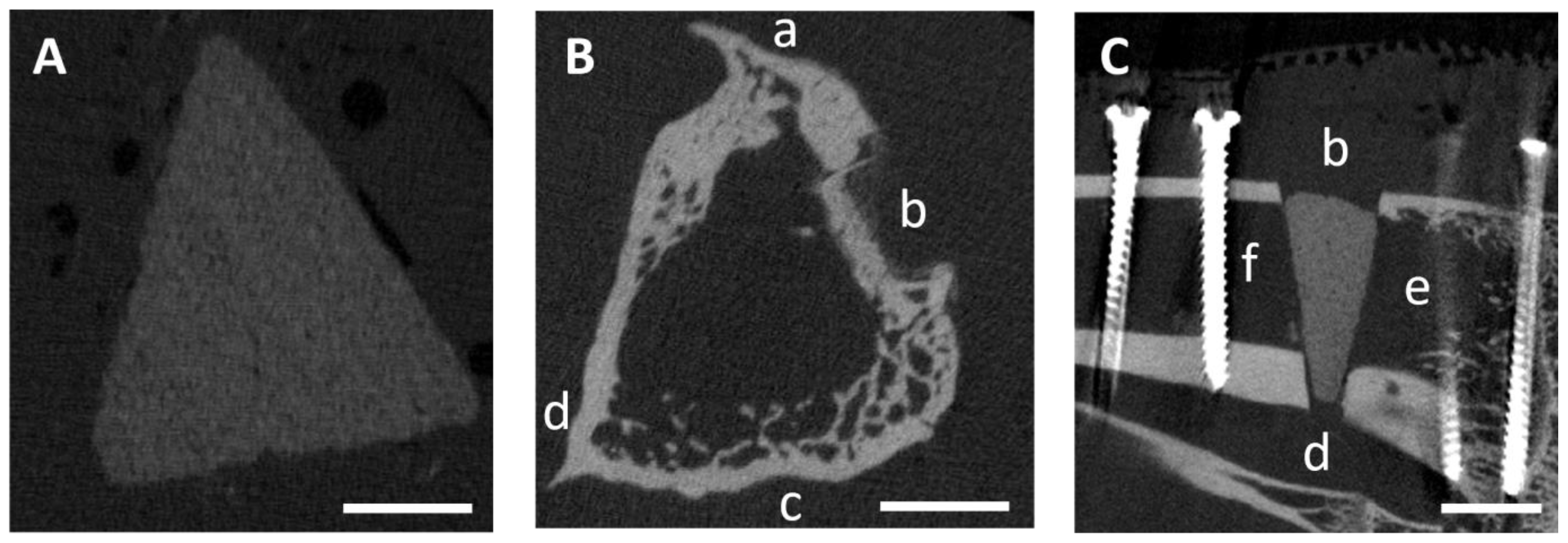 Materials 17 02136 g003