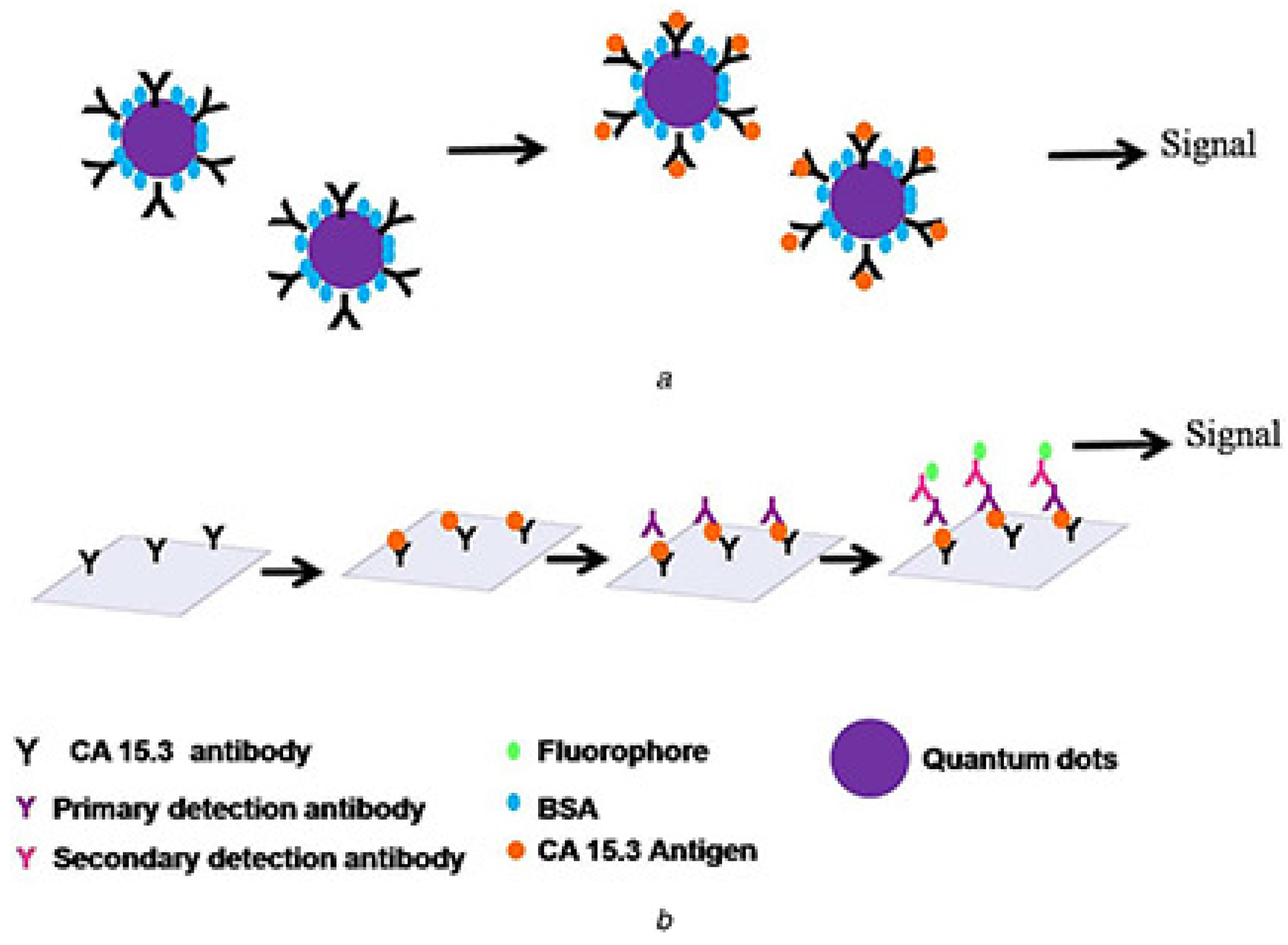 Materials 17 02152 g002