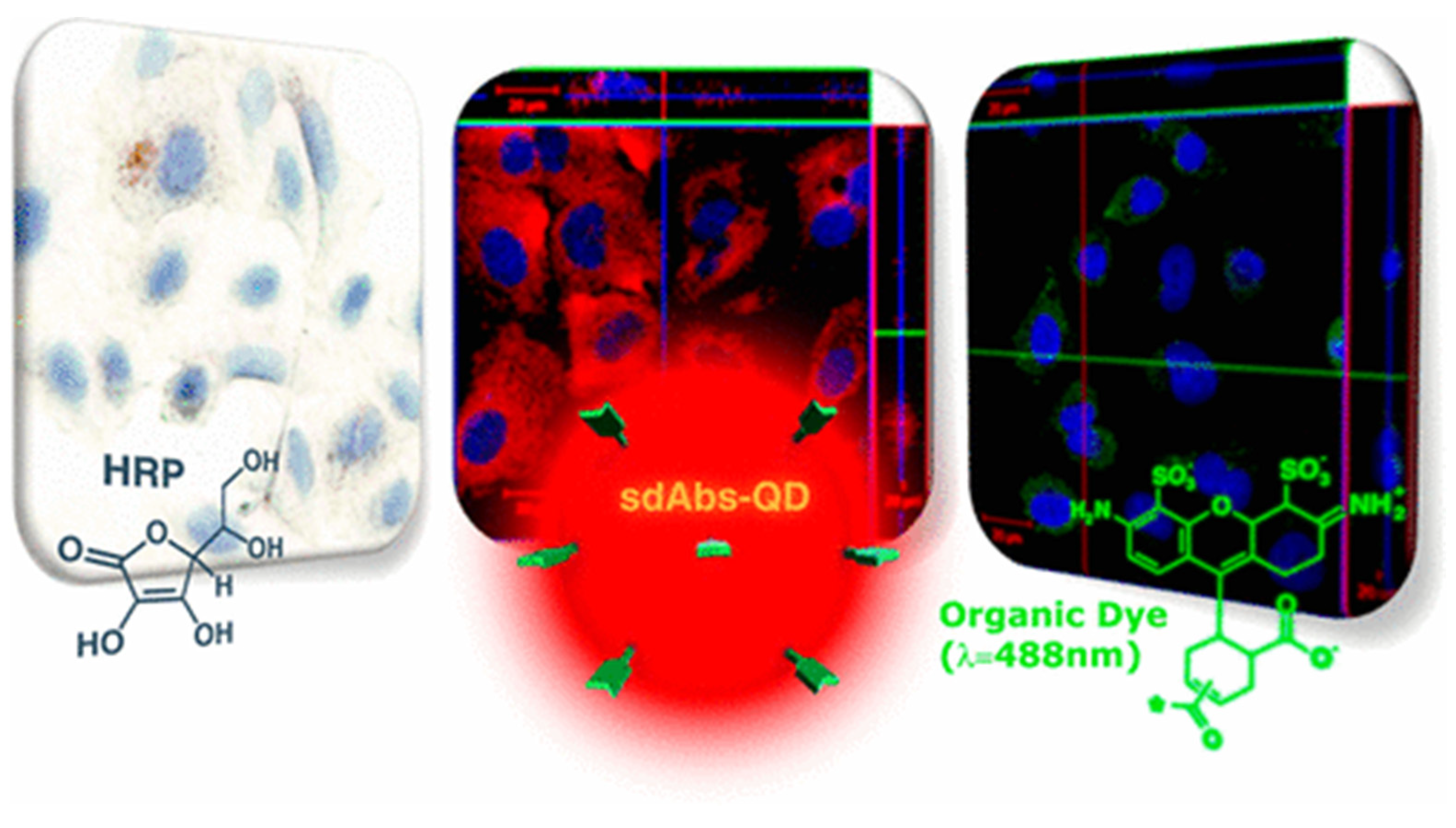 Materials 17 02152 g004