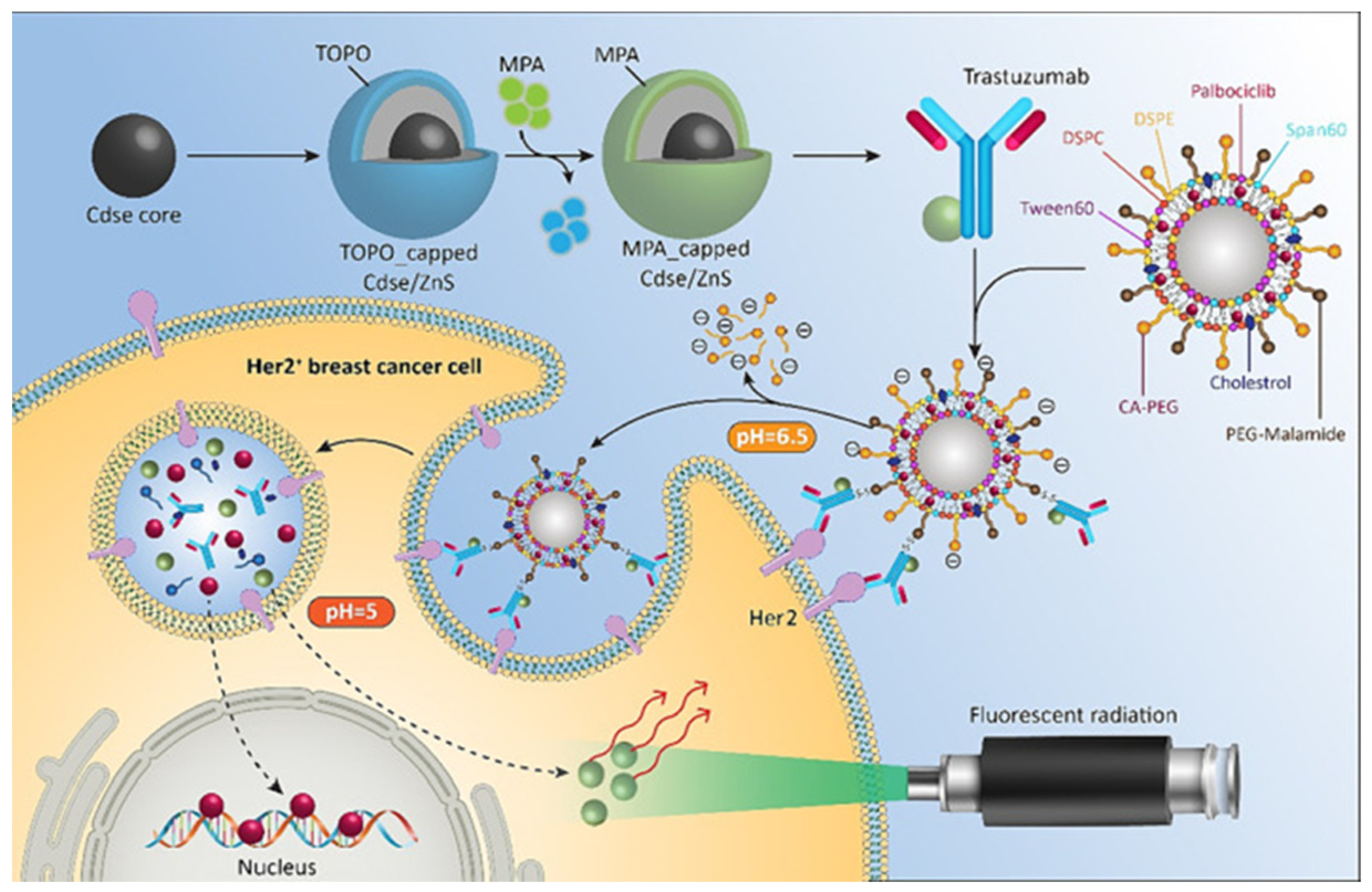 Materials 17 02152 g007