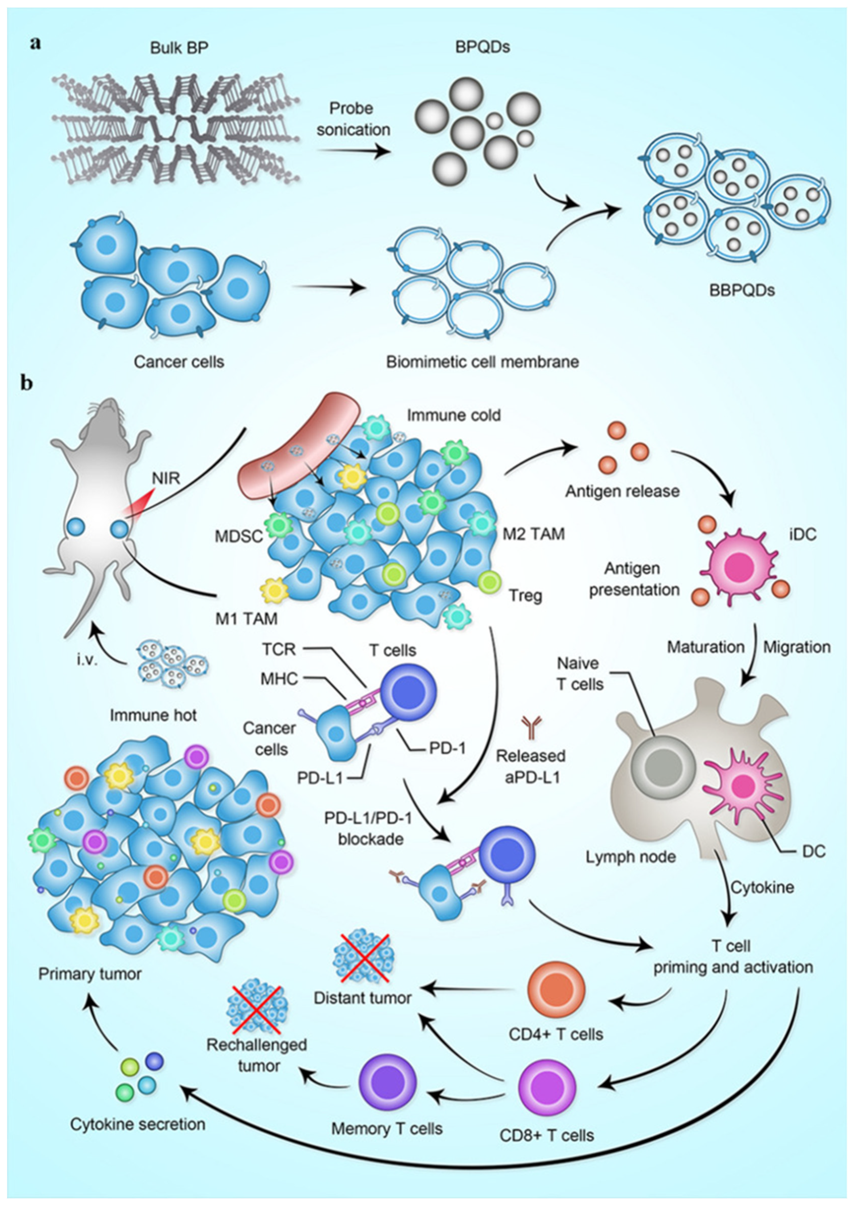 Materials 17 02152 g008