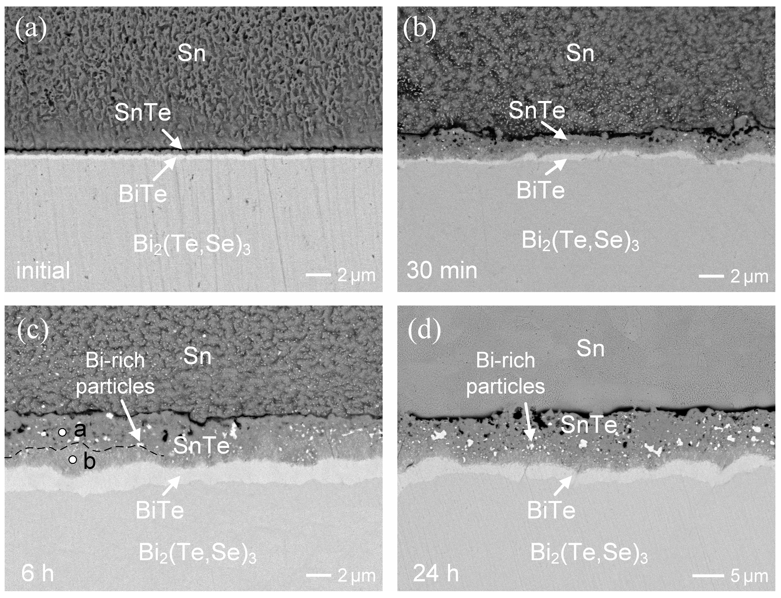 Materials 17 02158 g005