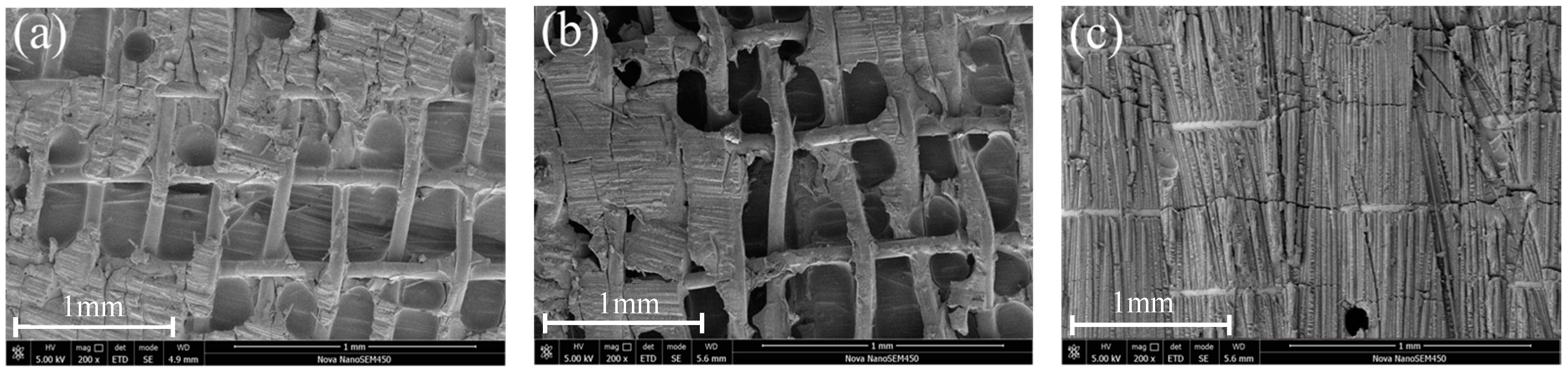 Materials 17 02176 g009