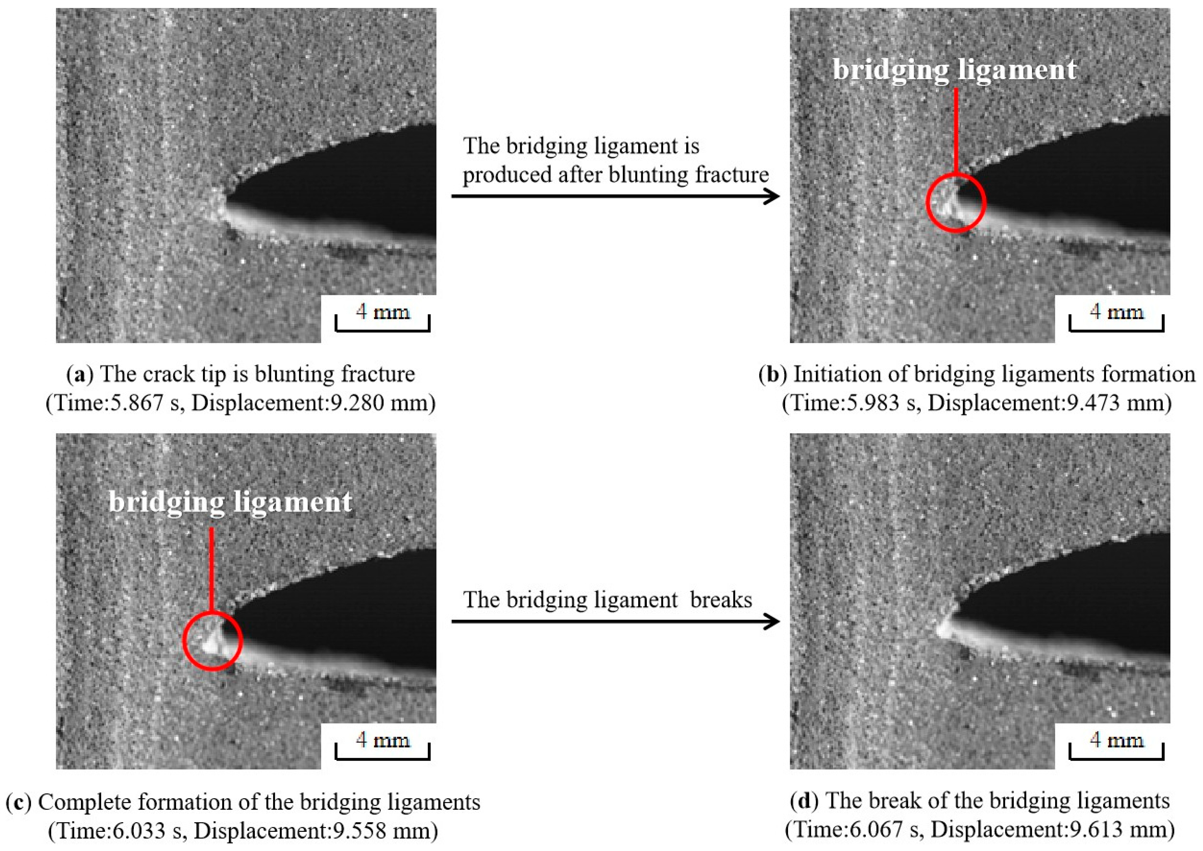 Materials 17 02180 g015