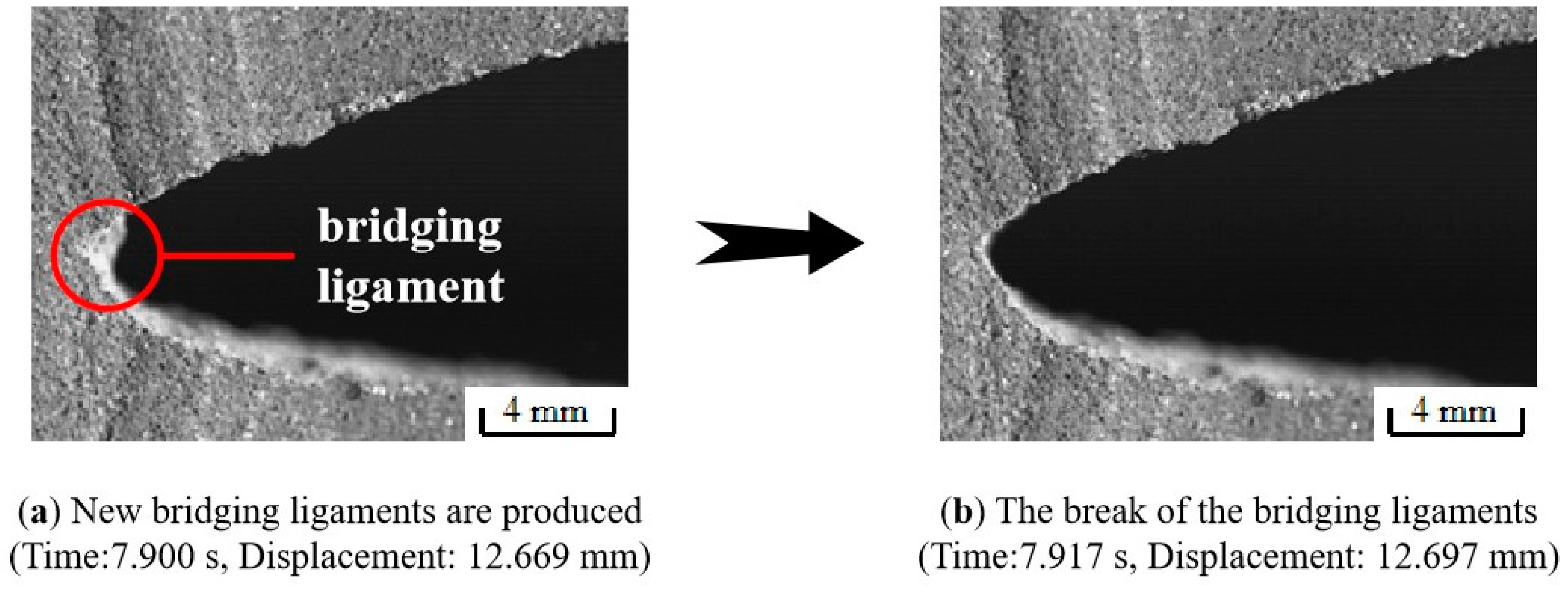 Materials 17 02180 g016