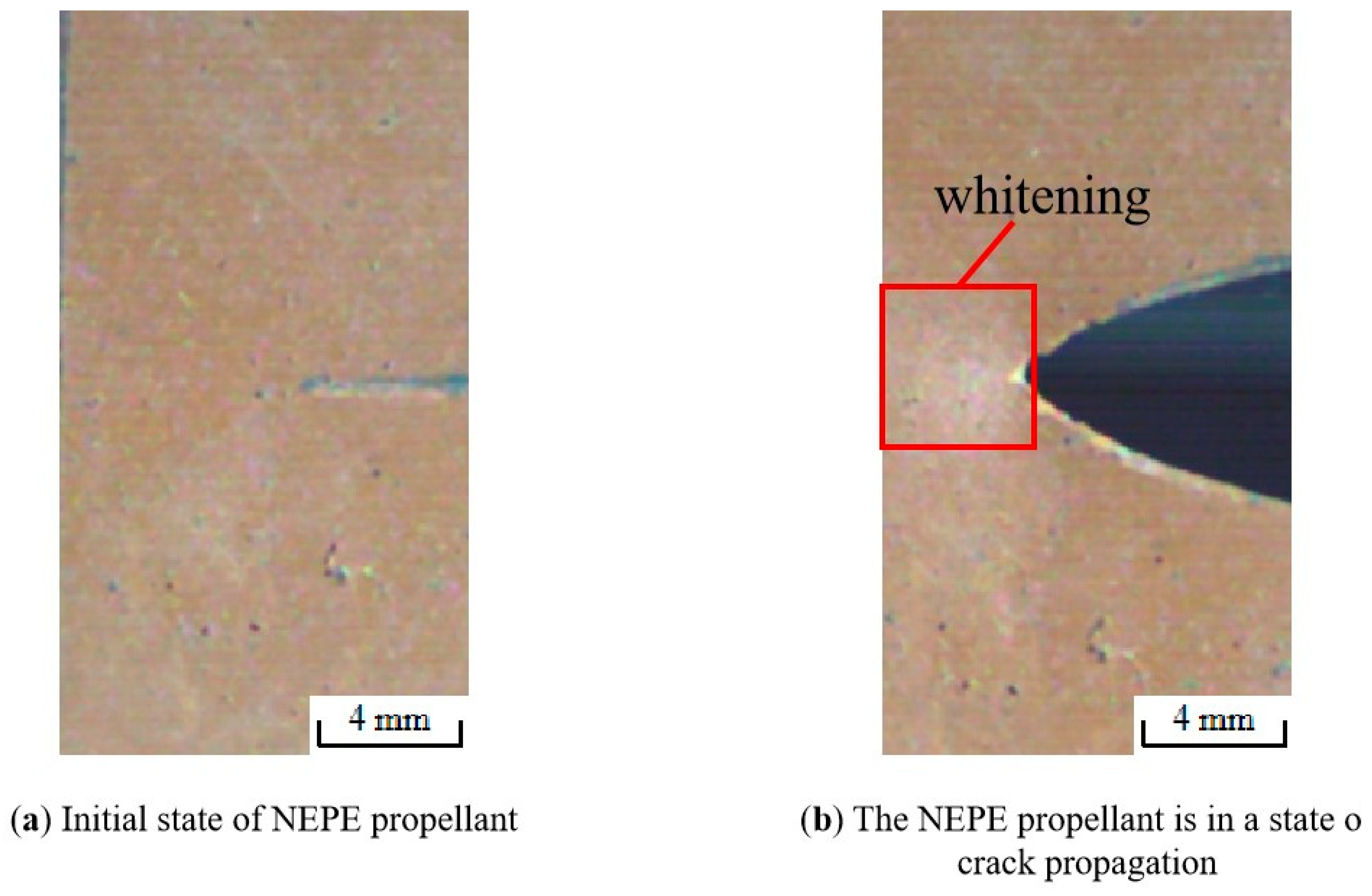 Materials 17 02180 g017