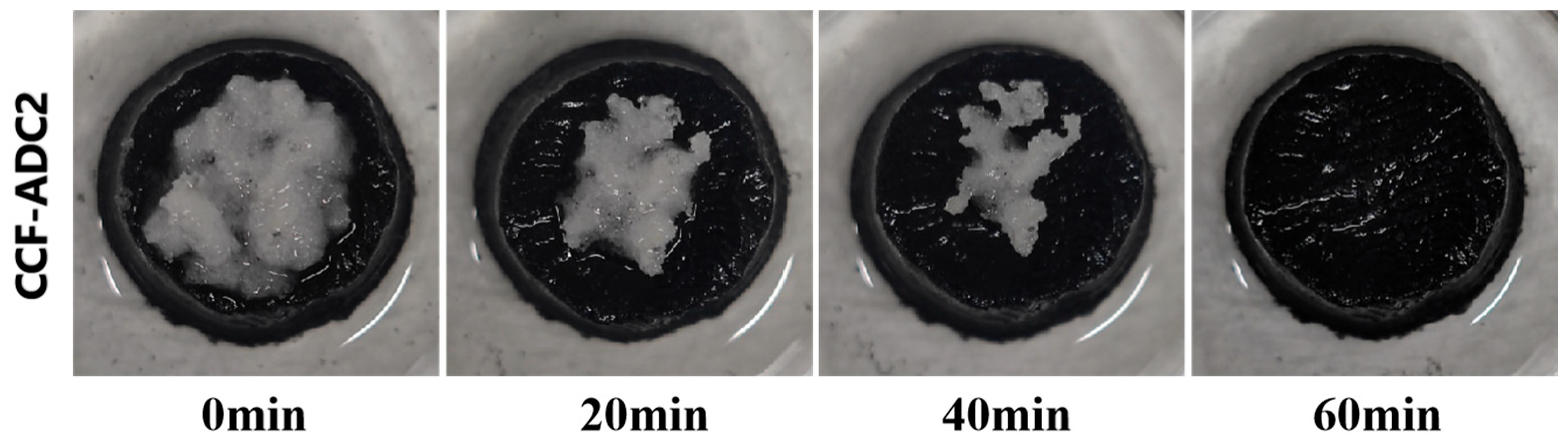 Materials 17 02205 g010