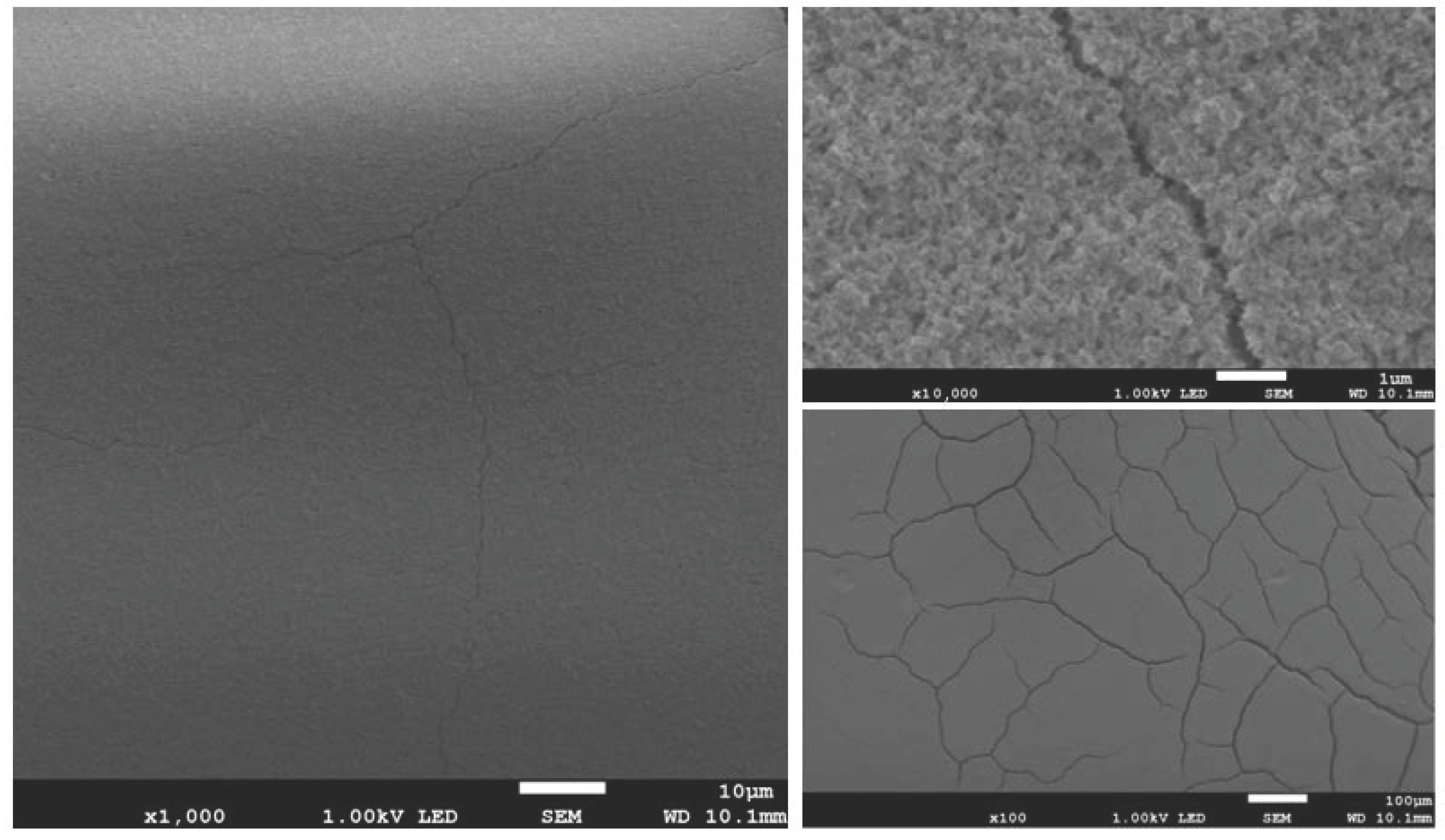 Materials 17 02242 g007