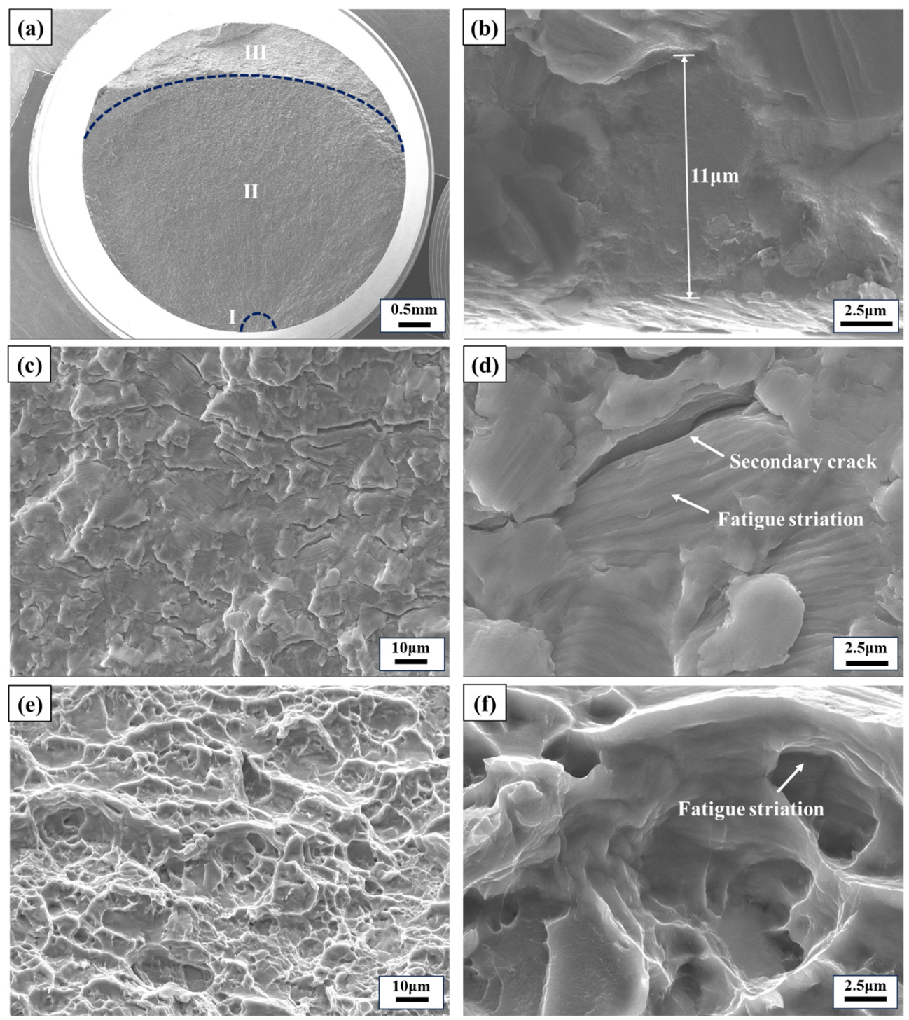 Materials 17 02248 g010