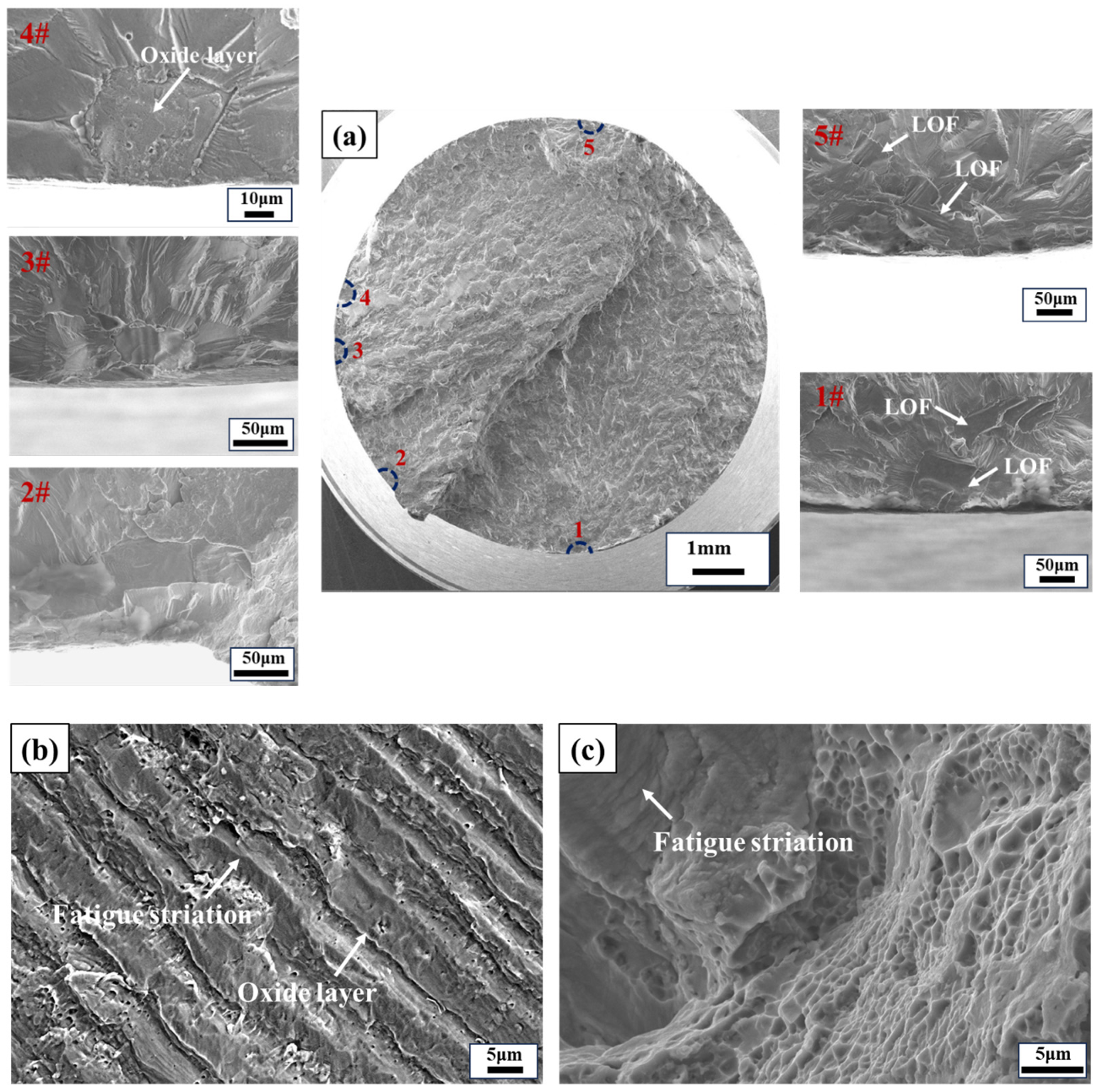 Materials 17 02248 g011