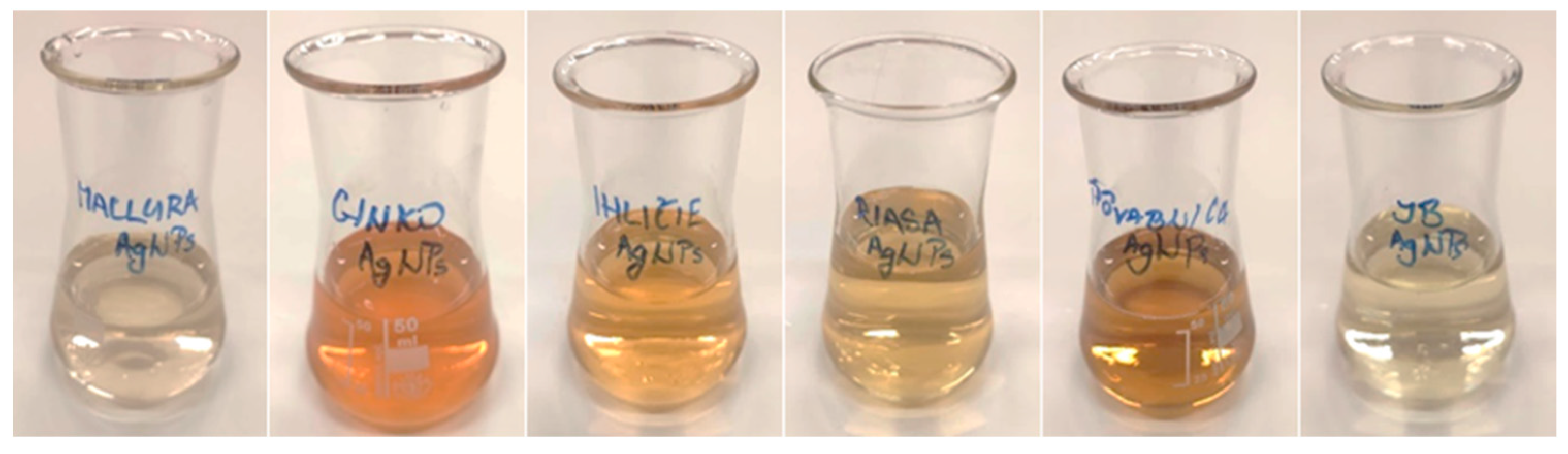 Materials 17 02252 g004