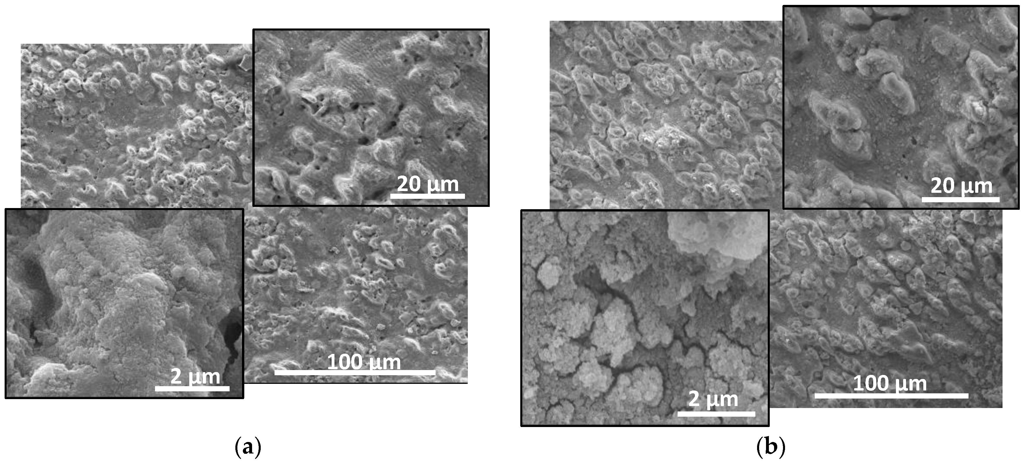 Materials 17 02254 g001a