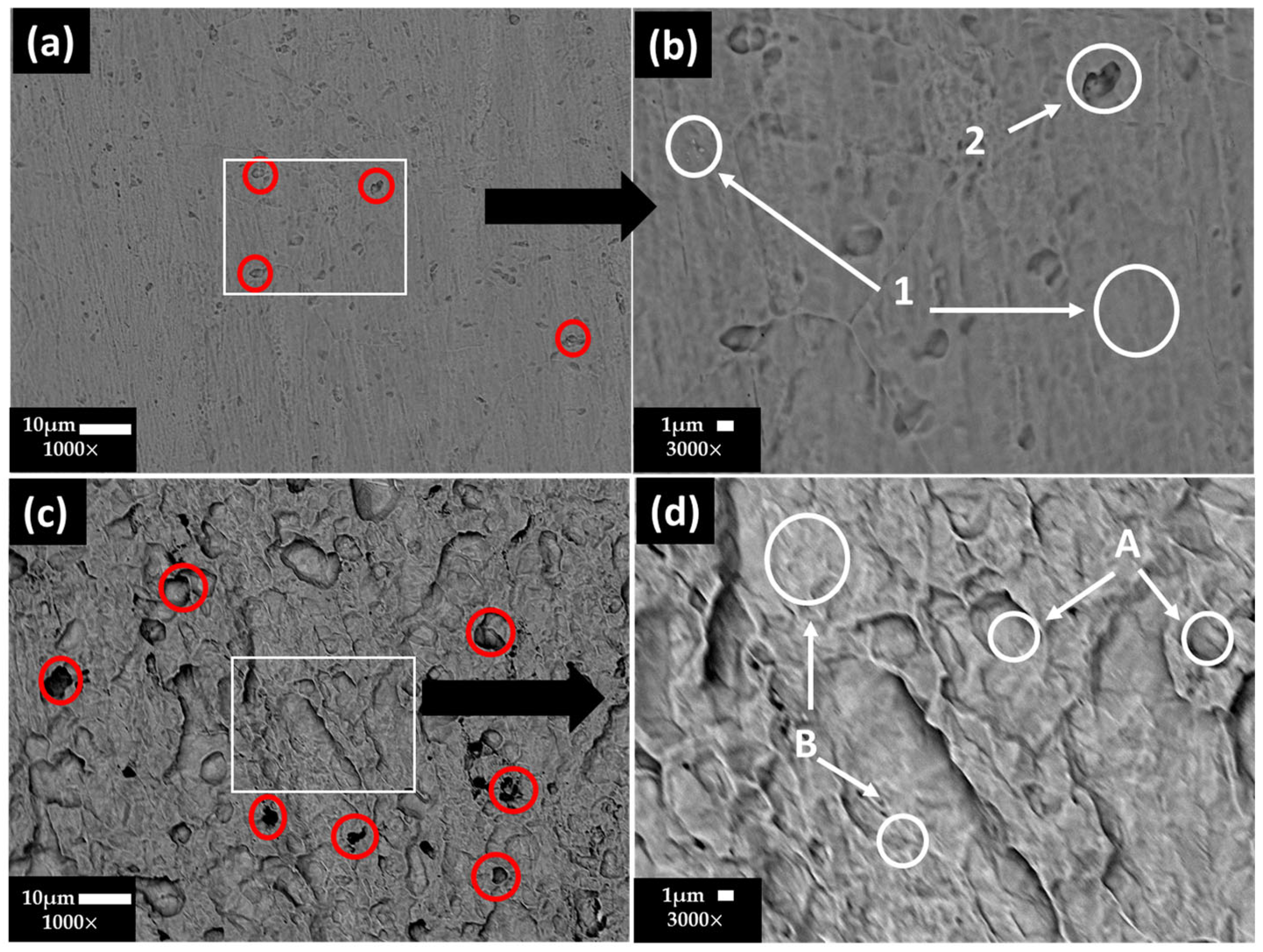 Materials 17 02255 g005