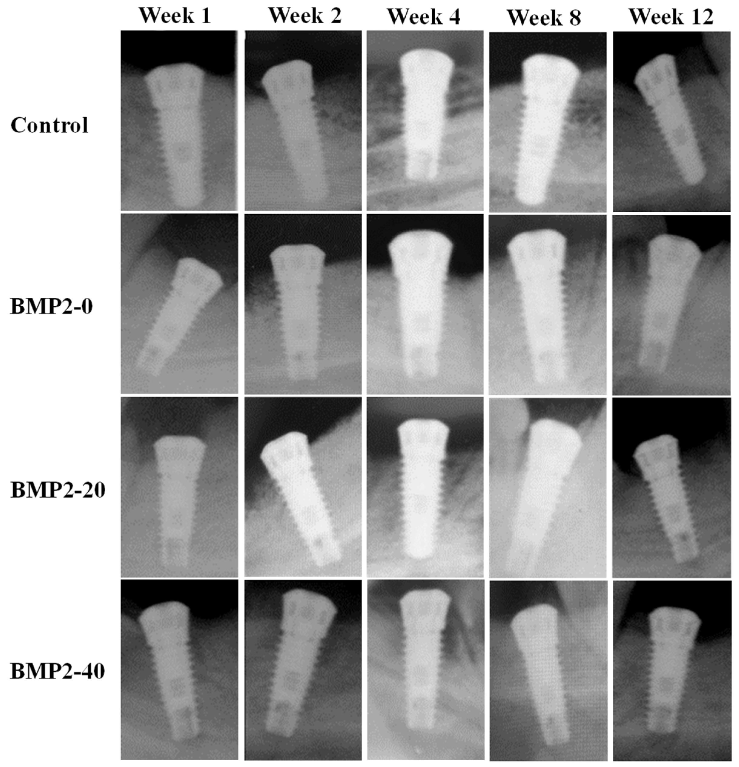 Materials 17 02276 g004